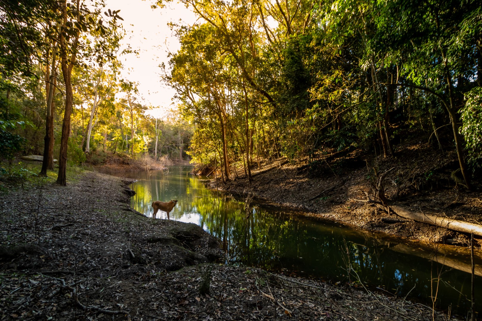24 Wavell Drive, Tinaroo