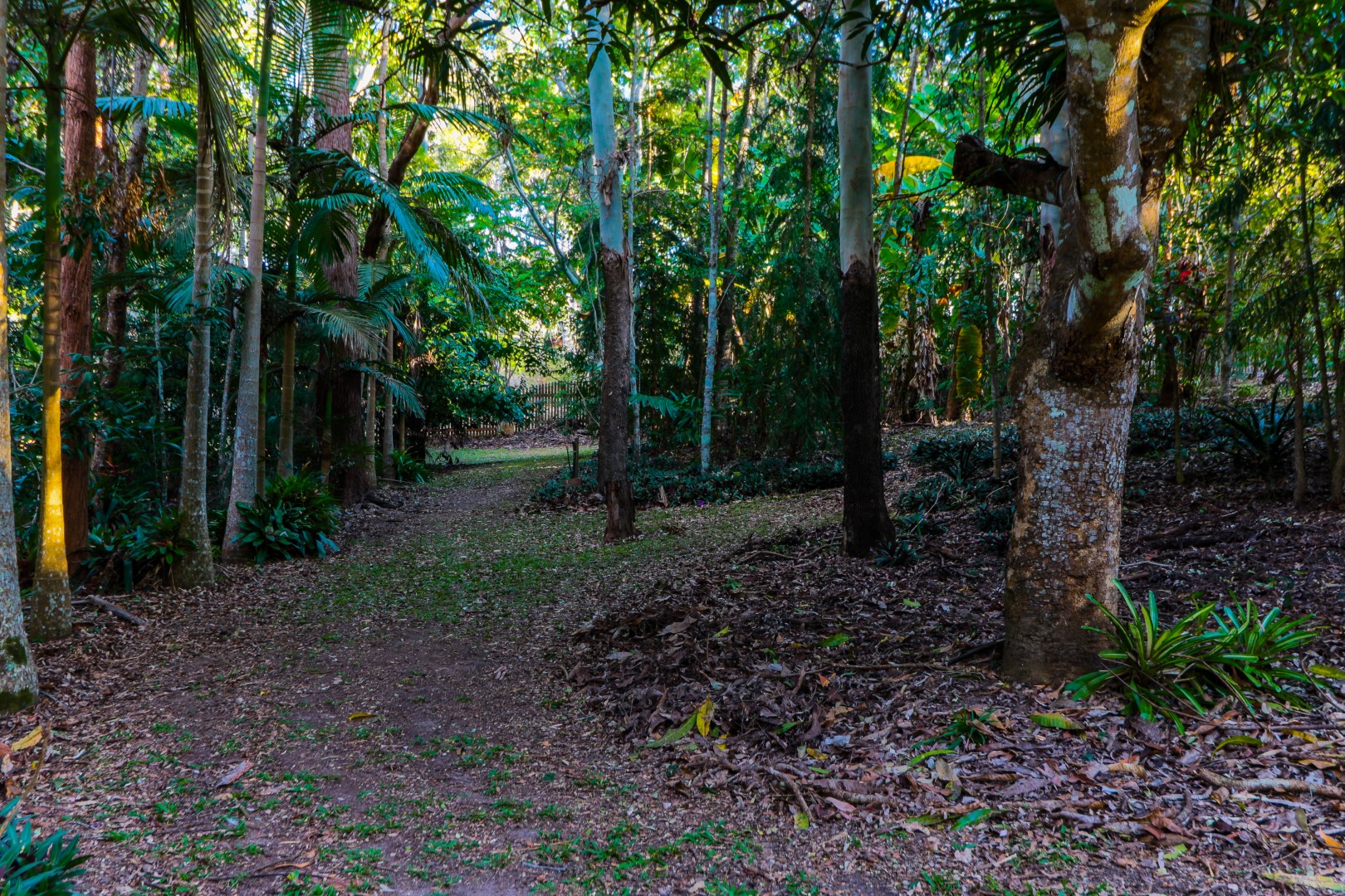 24 Wavell Drive, Tinaroo