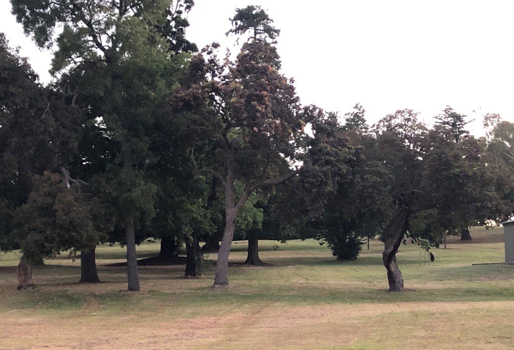 2 Lake Terrace West, Mount Gambier