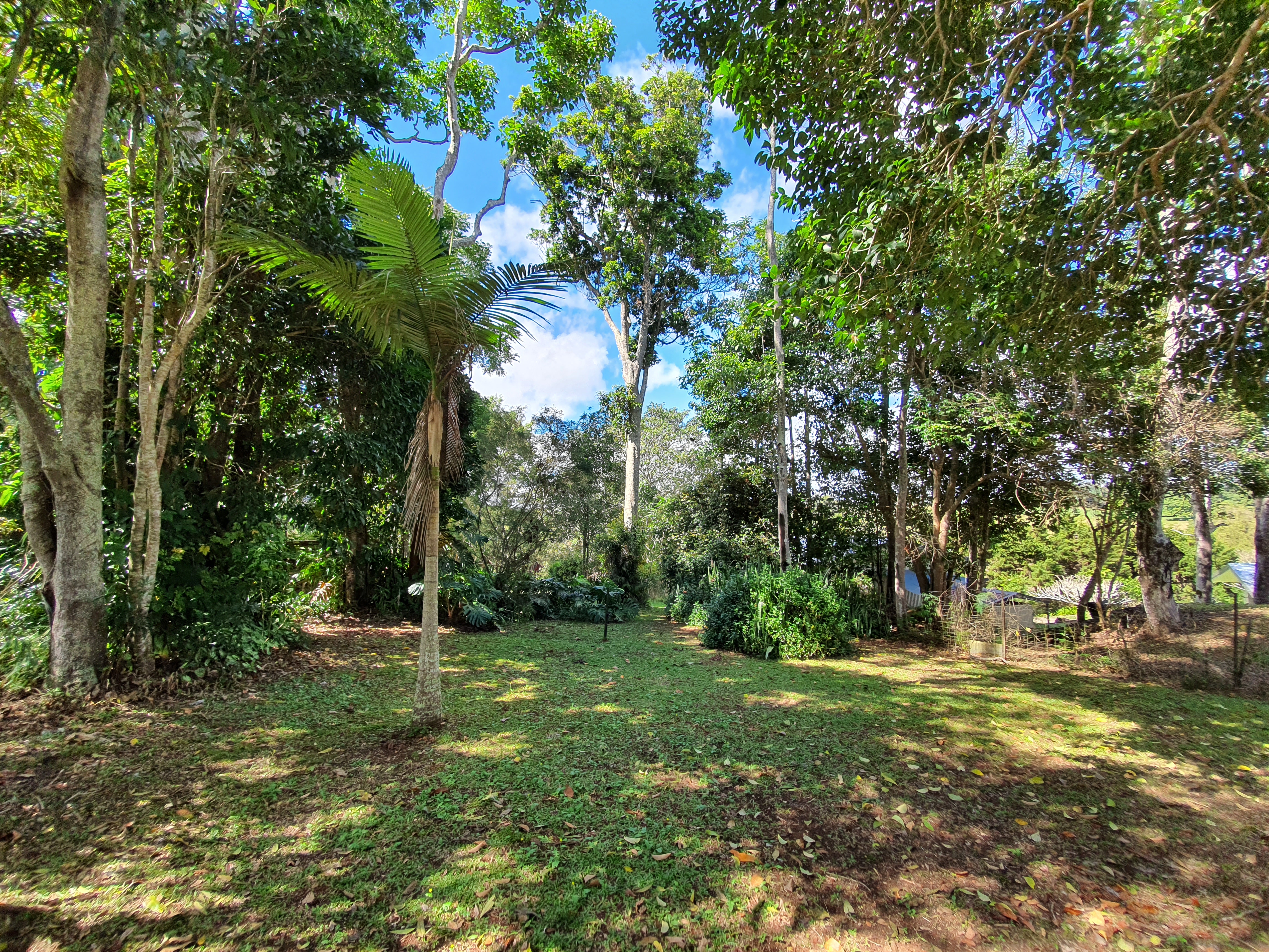 3 Cassia Street, Yungaburra