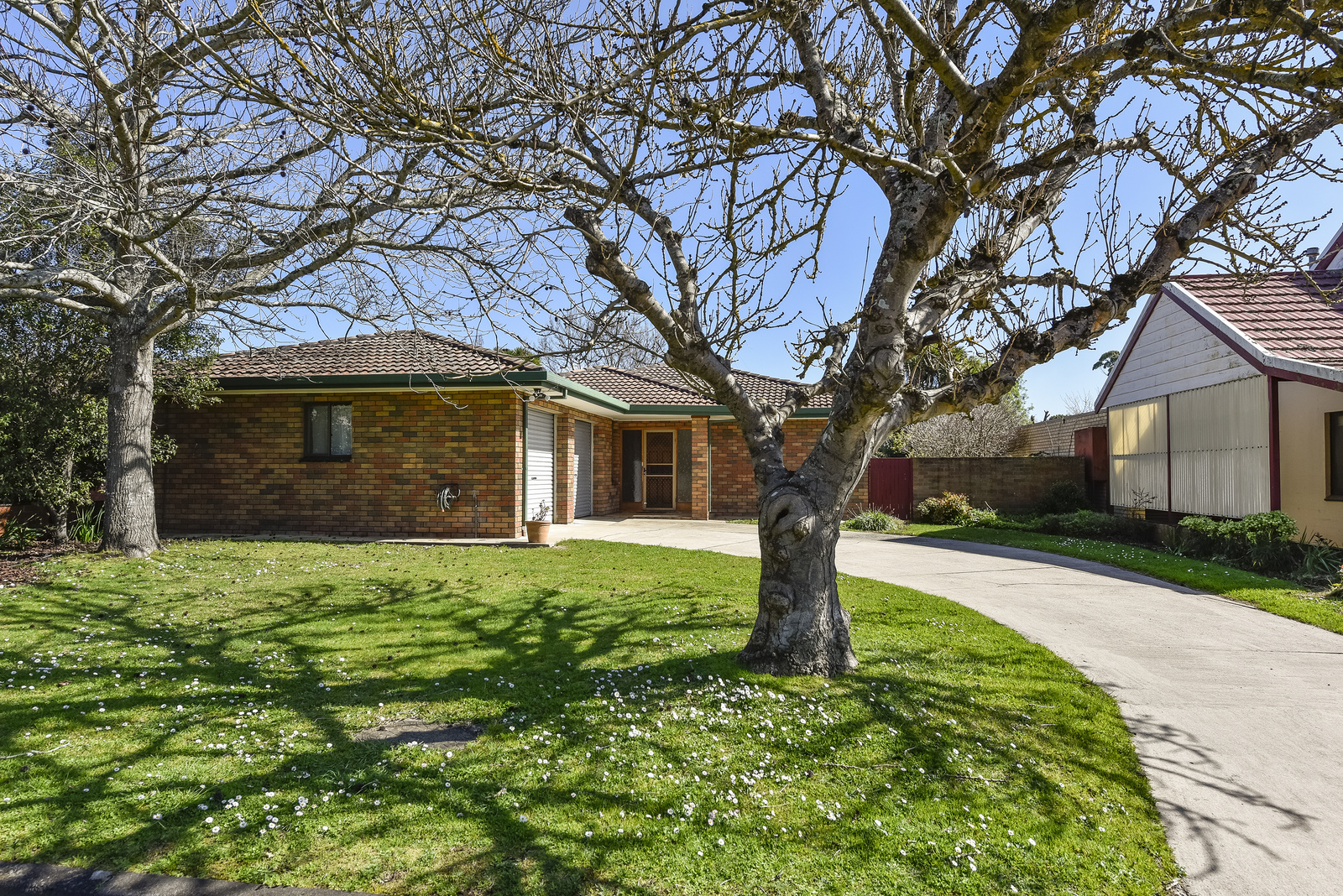 6 Arthur Street, Mount Gambier