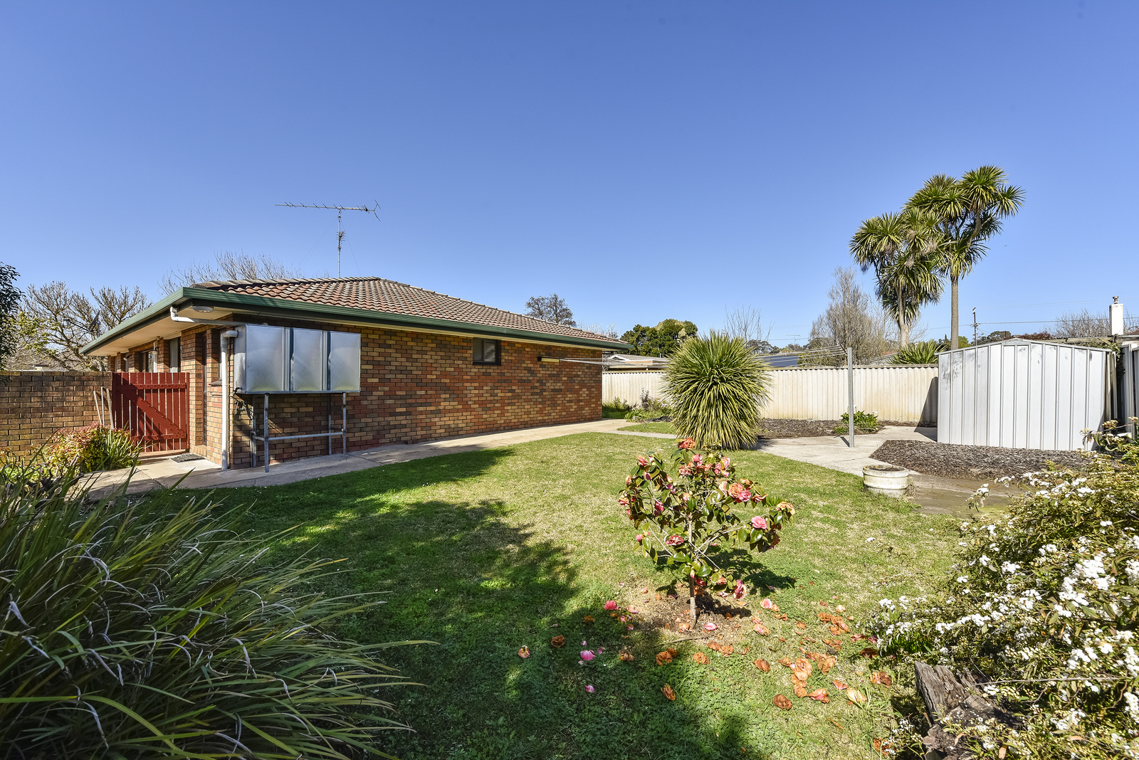 6 Arthur Street, Mount Gambier