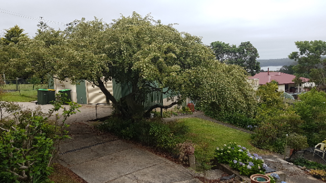 22 Thomson Parade , Dalmeny