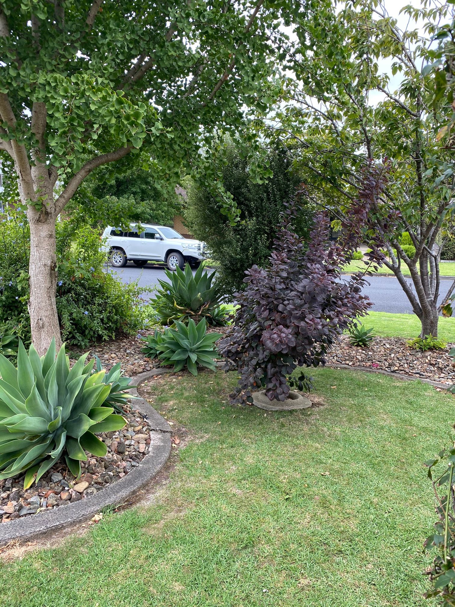 15 Gardiner Terrace , Mount Gambier