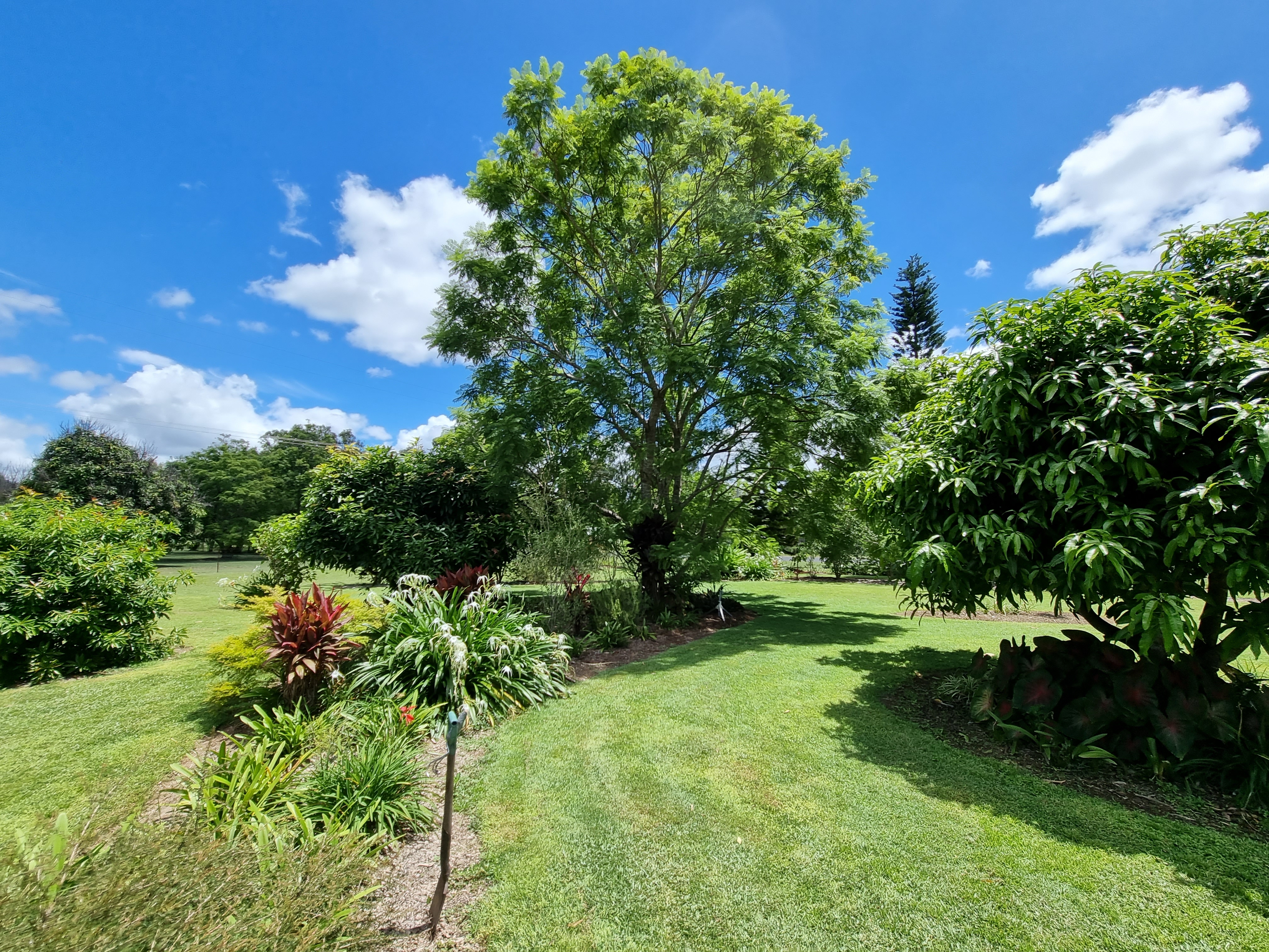 16 Coolgarra Road, Mount Garnet