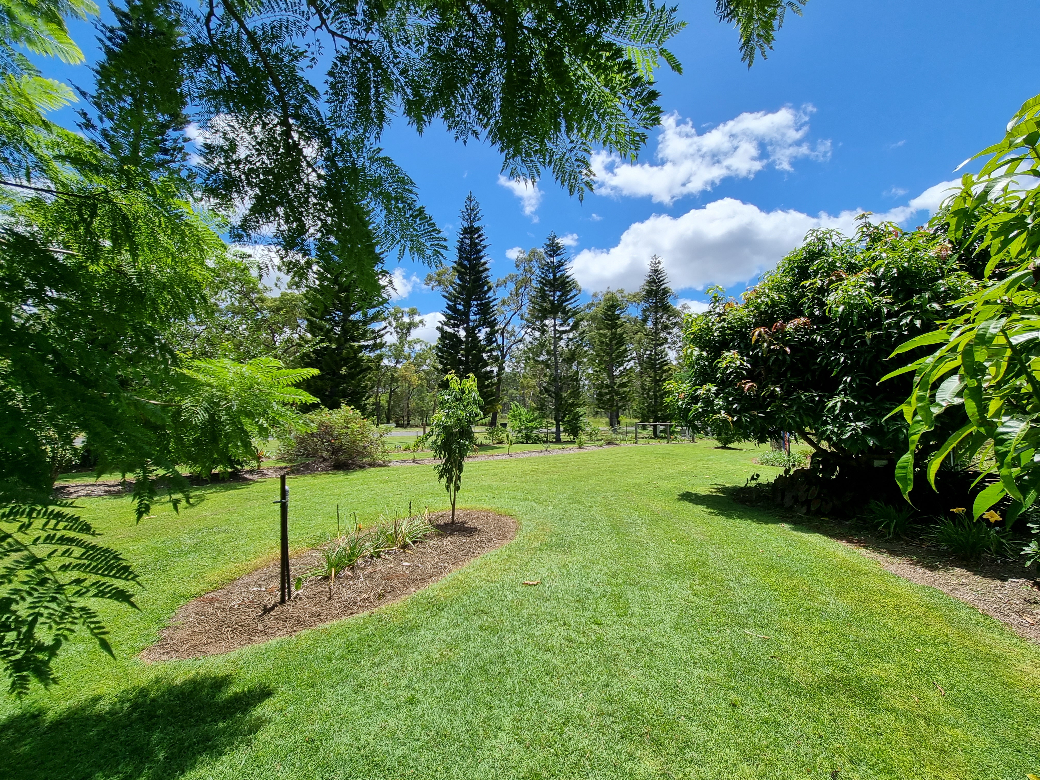 16 Coolgarra Road, Mount Garnet