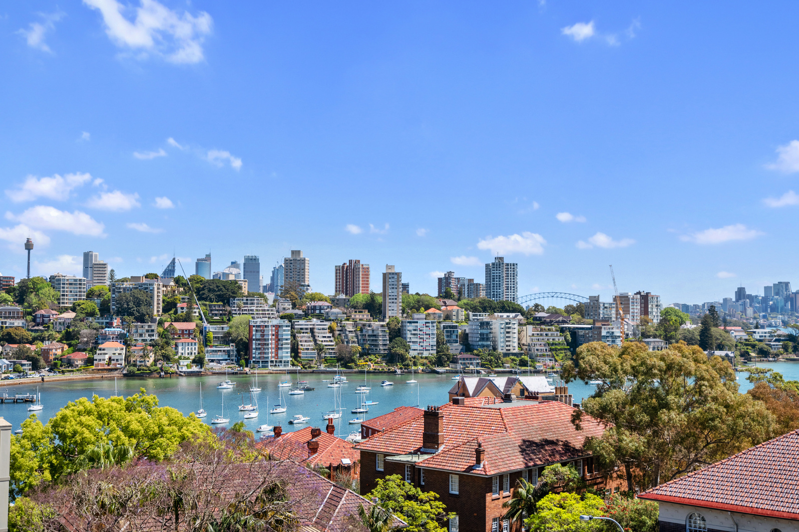 539 New South Head Road, Double Bay
