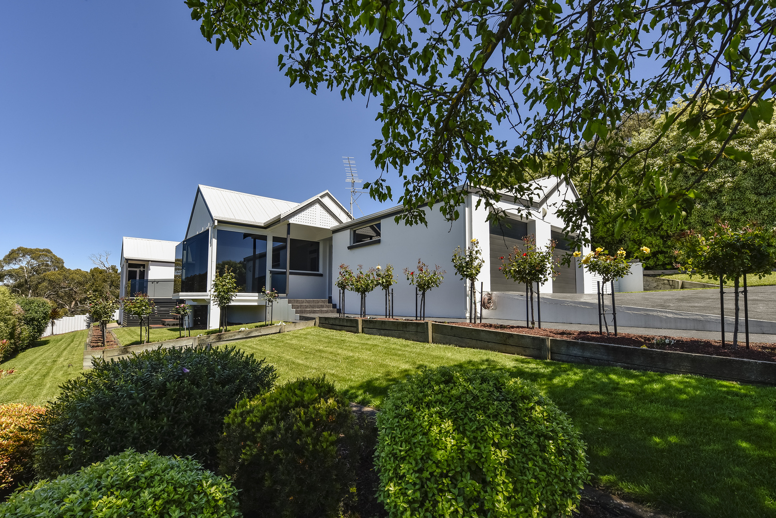 6 Lorikeet Street, Mount Gambier
