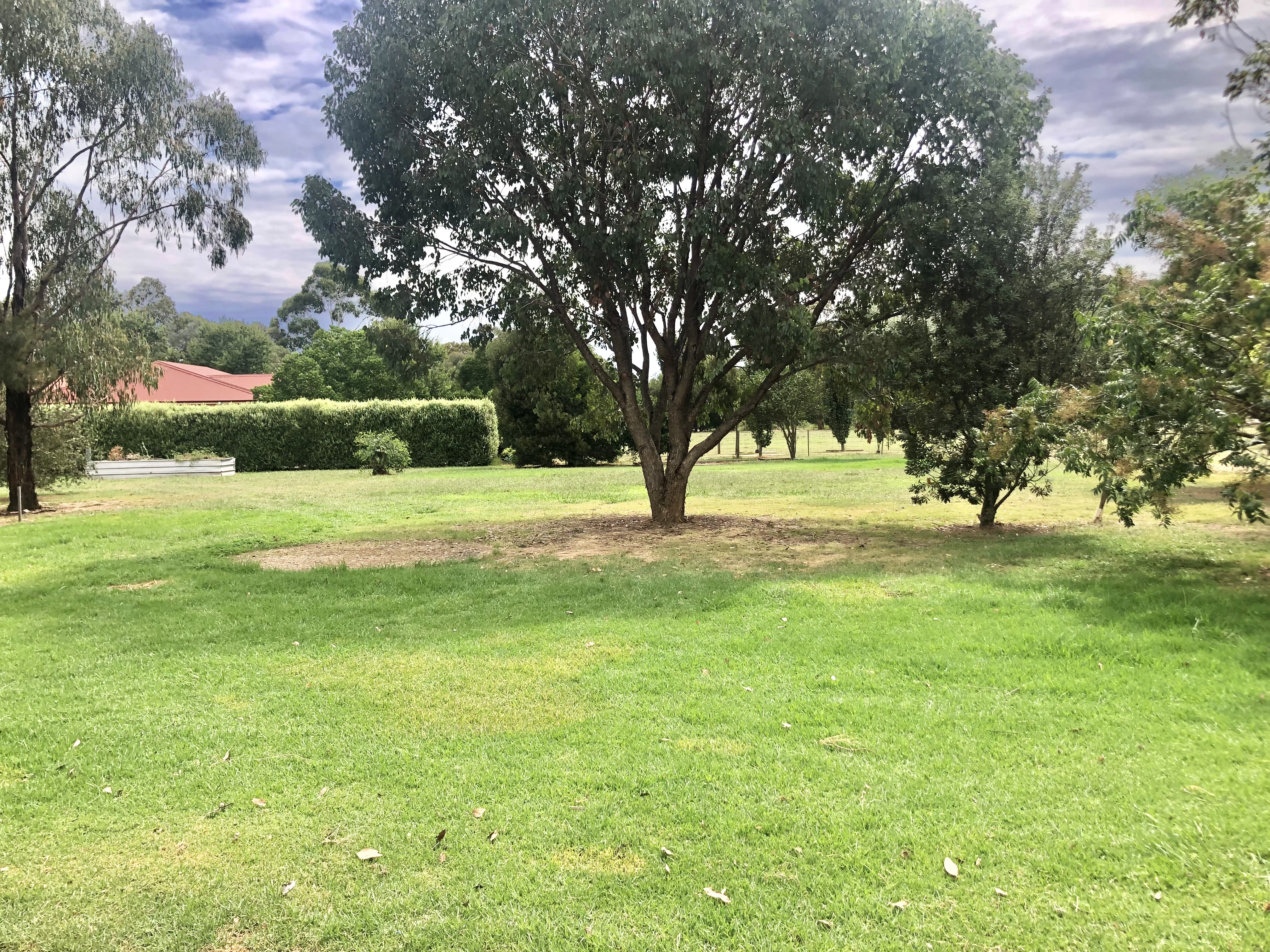 78 Oxley-Meadow Creek Road, Oxley