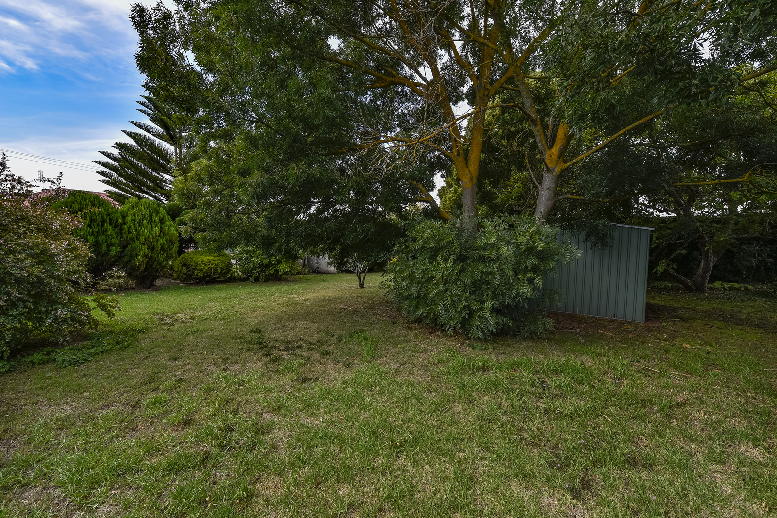 3 Webb Street, Mount Gambier