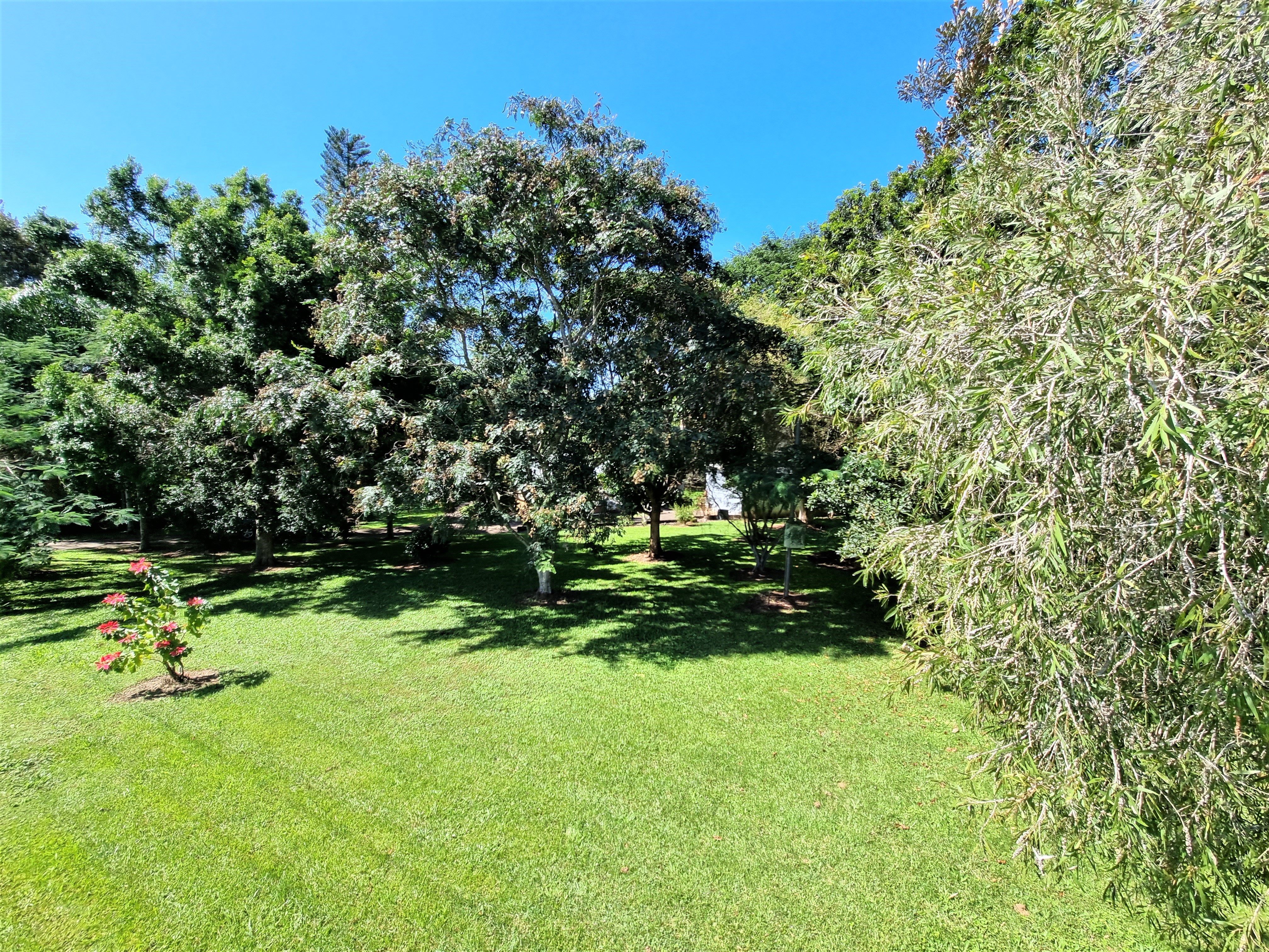 21 Harper Avenue, Yungaburra