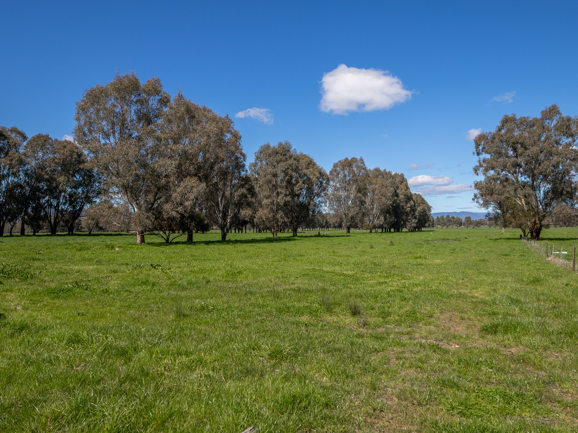 Lot 2, 56 Baileys Lane, Whorouly