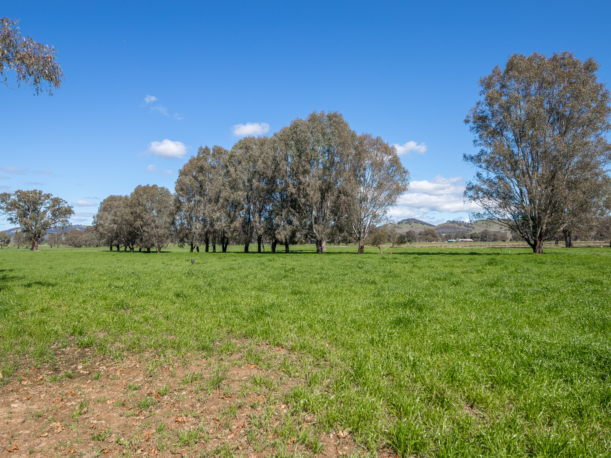Lot 2, 56 Baileys Lane, Whorouly