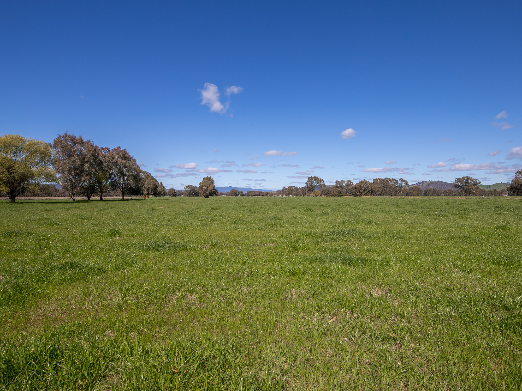 Lot 2, 56 Baileys Lane, Whorouly