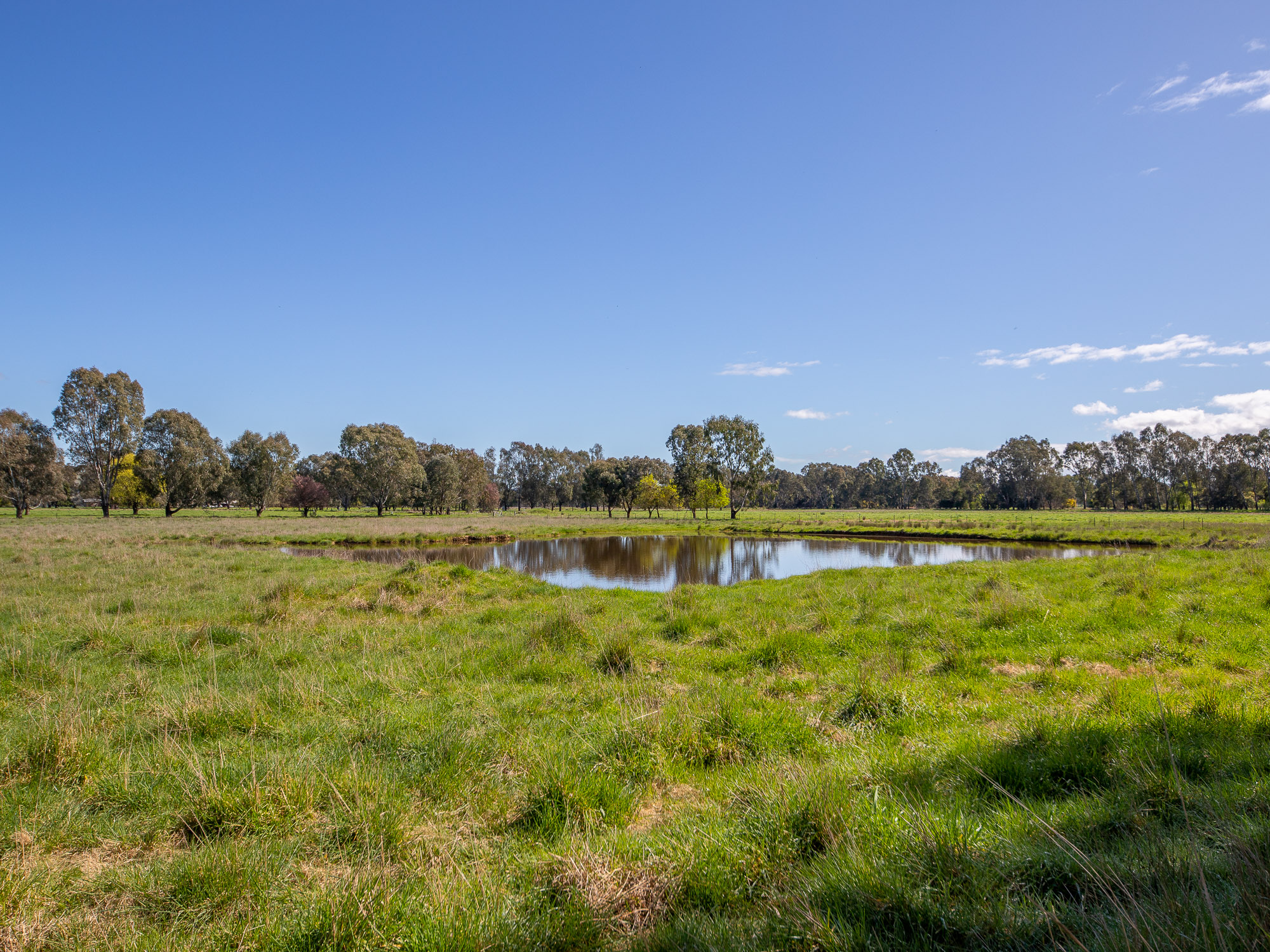 Lot 2, 56 Baileys Lane, Whorouly