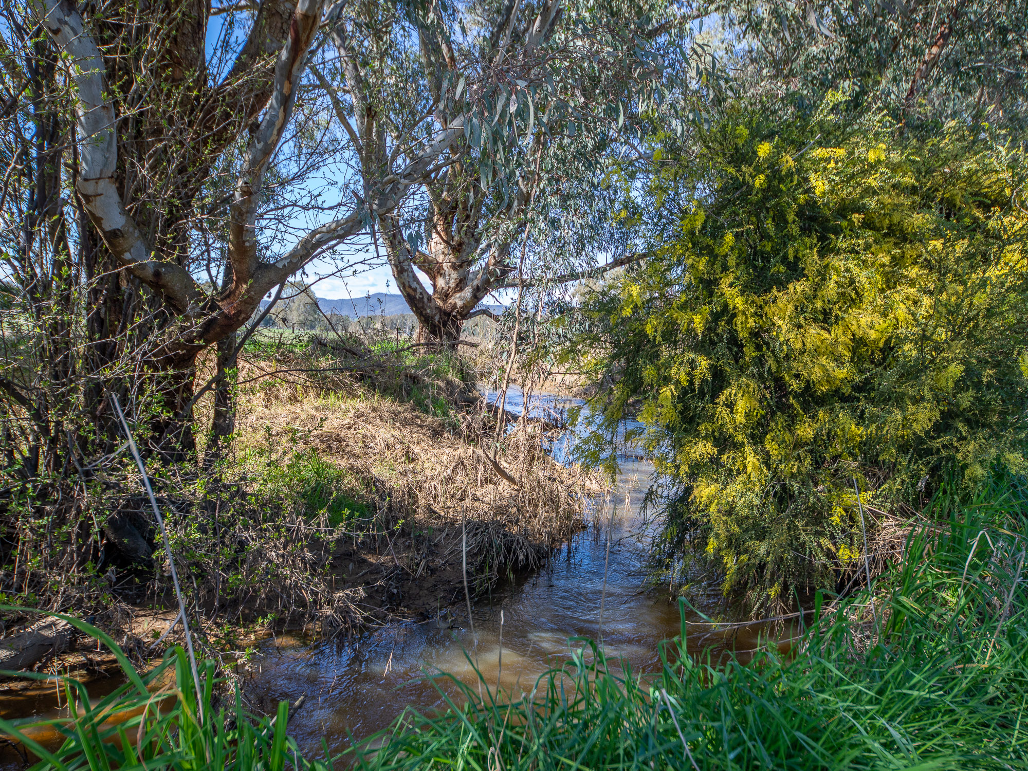 Lot 2, 56 Baileys Lane, Whorouly