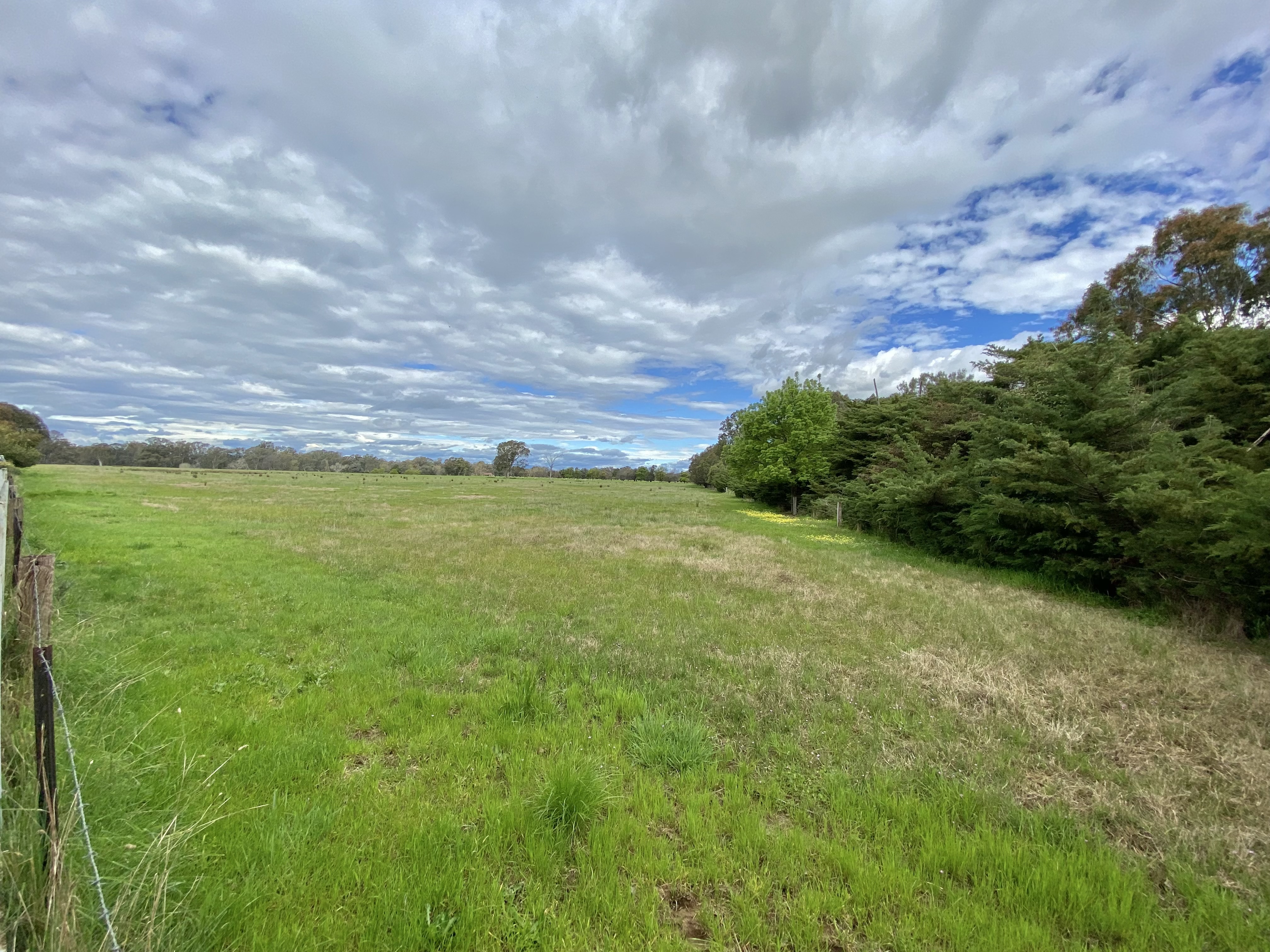 1 / 2 Pelican Court, Wangaratta