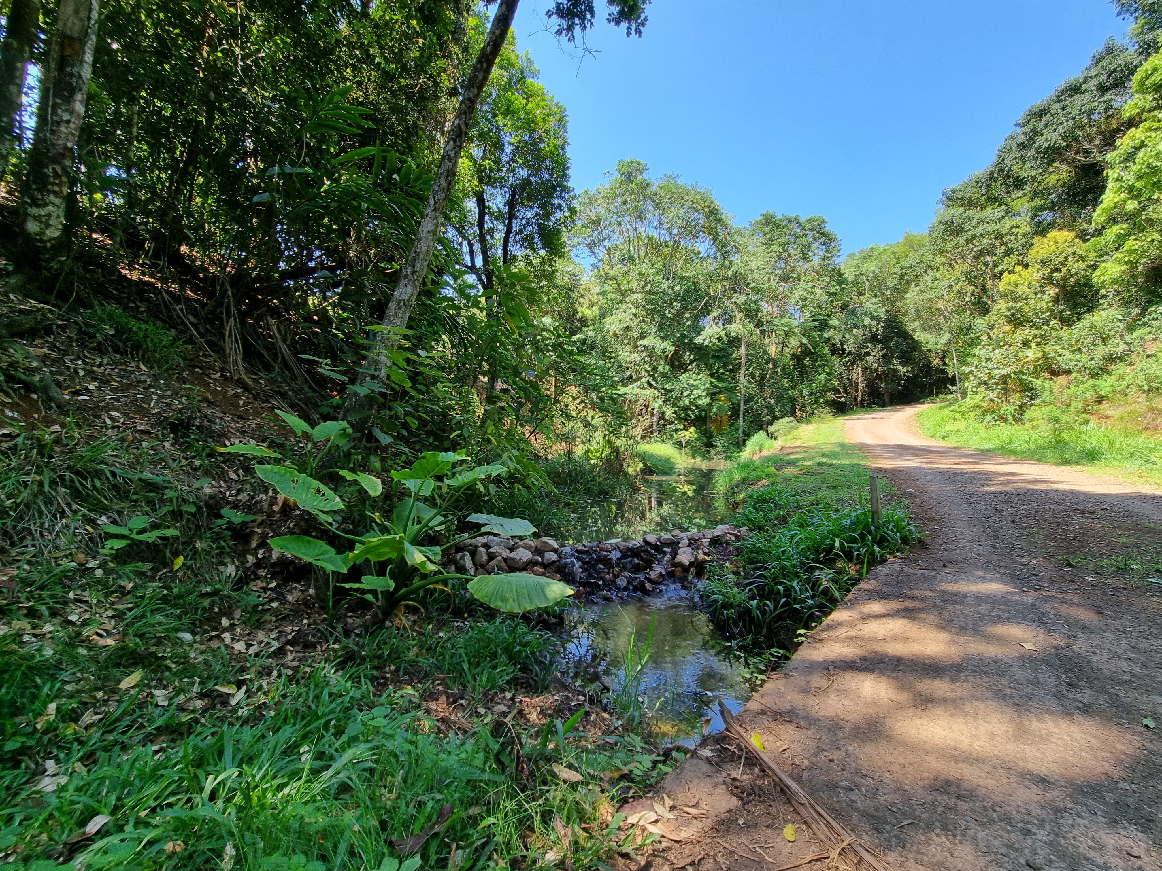 794 Seamark Road, Malanda