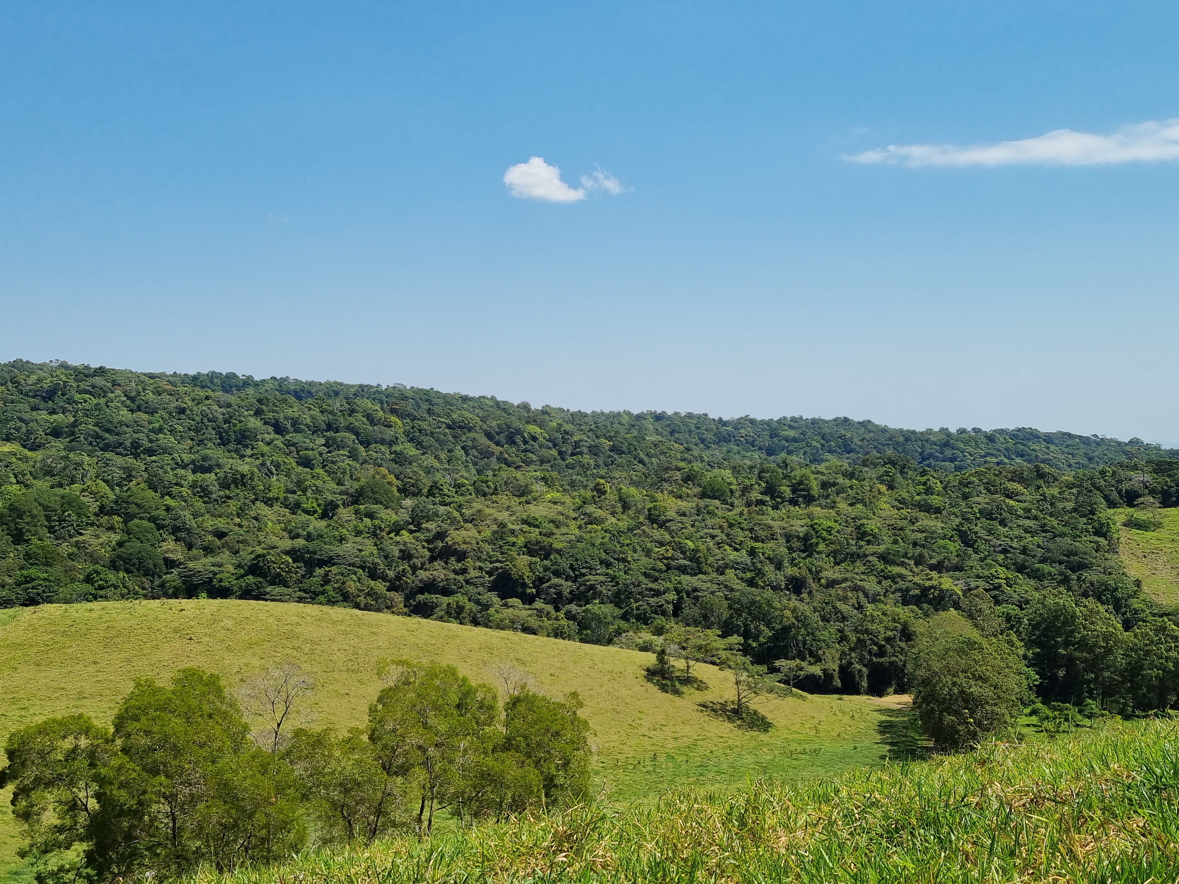 794 Seamark Road, Malanda