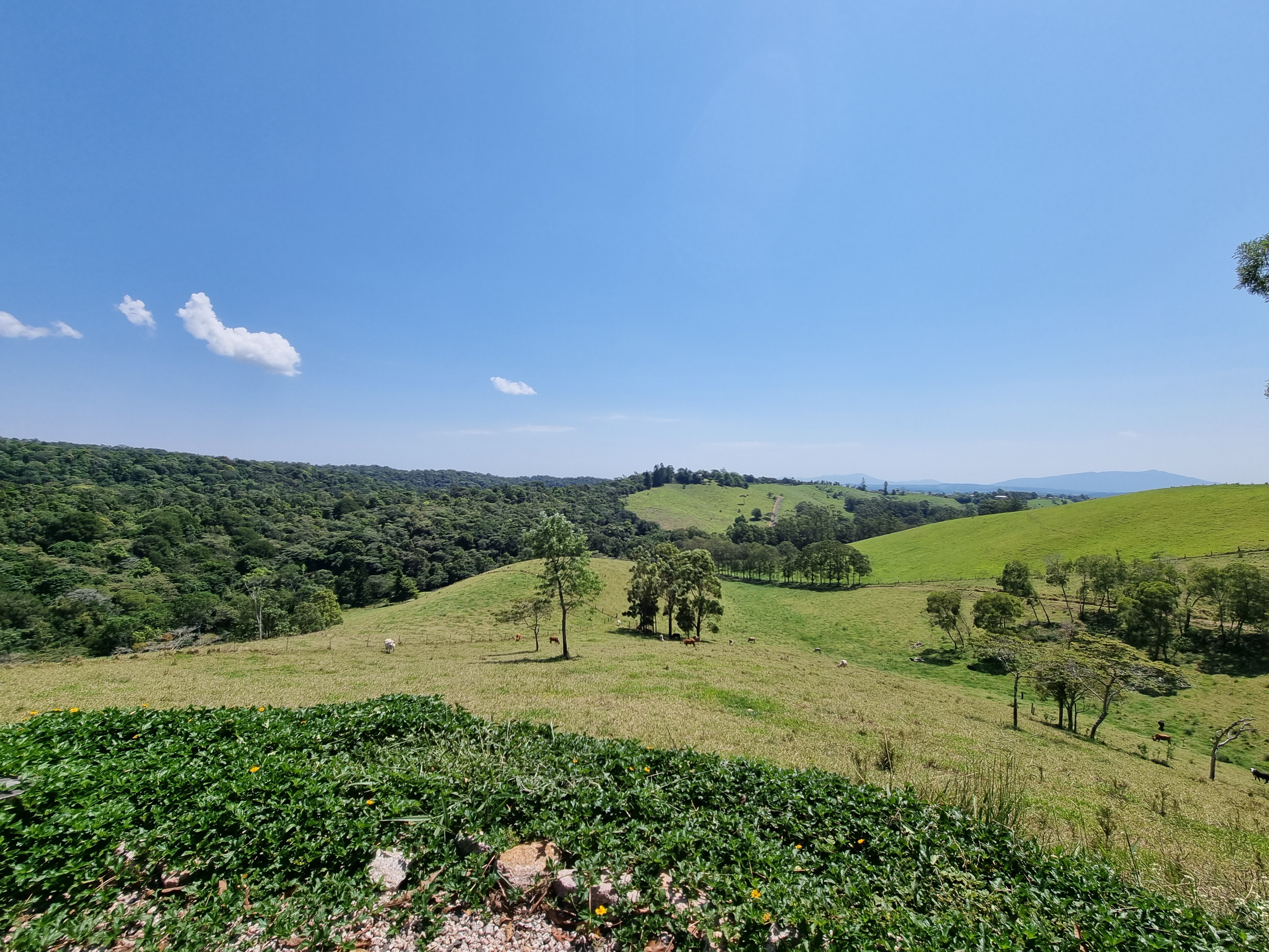 794 Seamark Road, Malanda