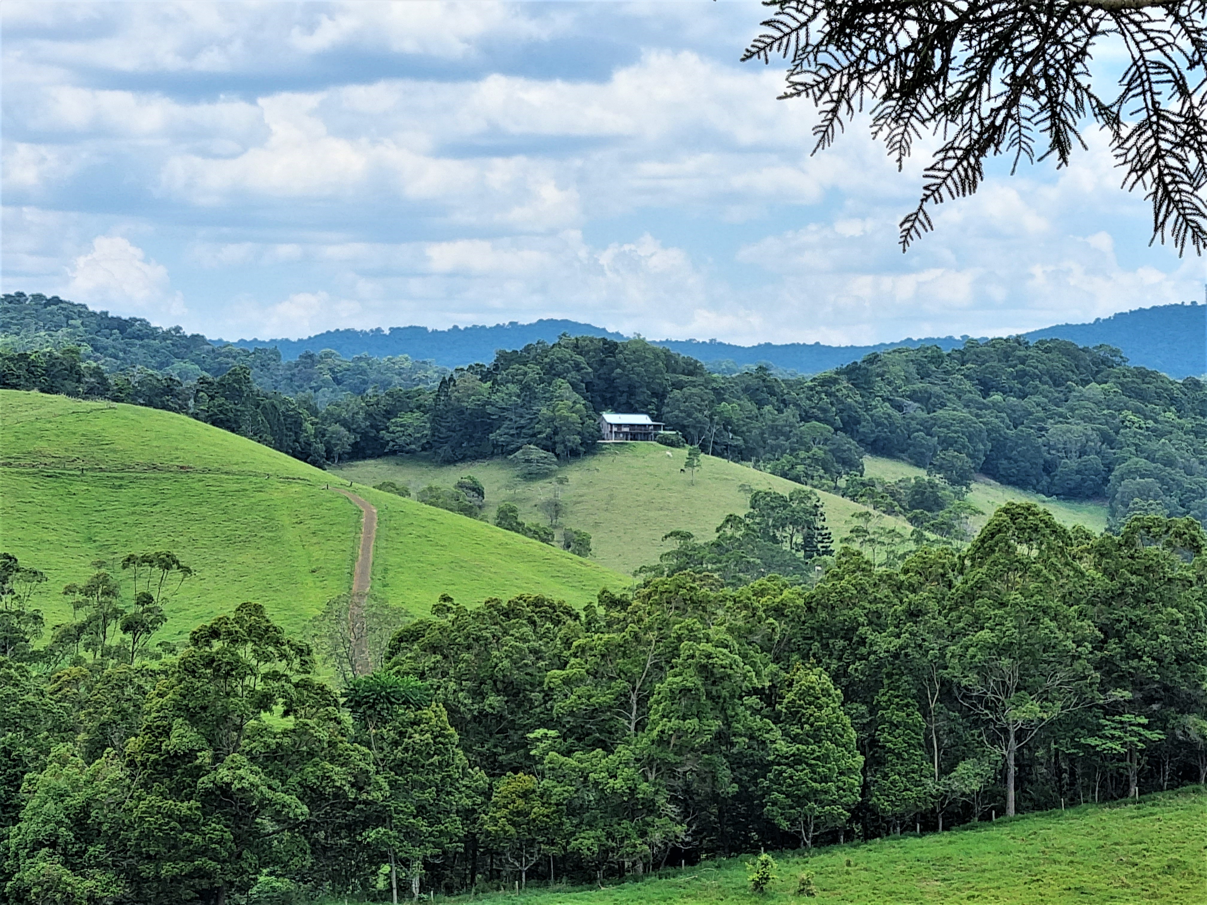 794 Seamark Road, Malanda