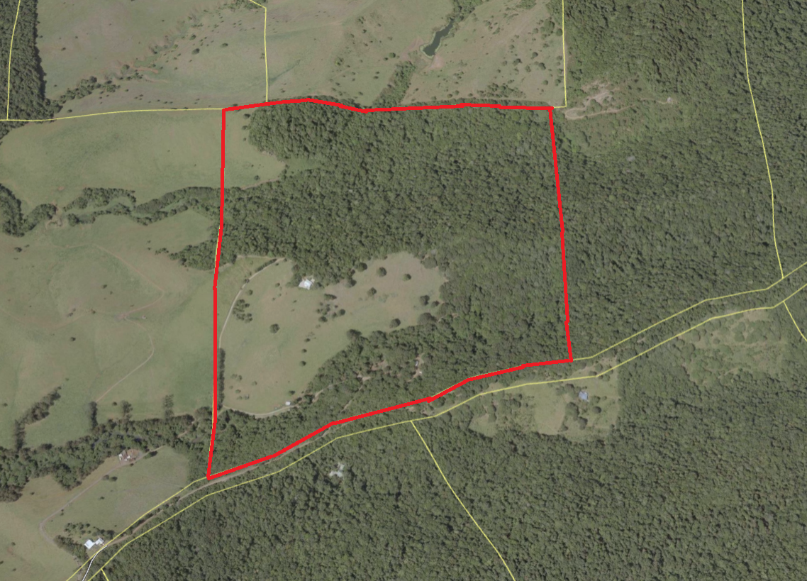 794 Seamark Road, Malanda