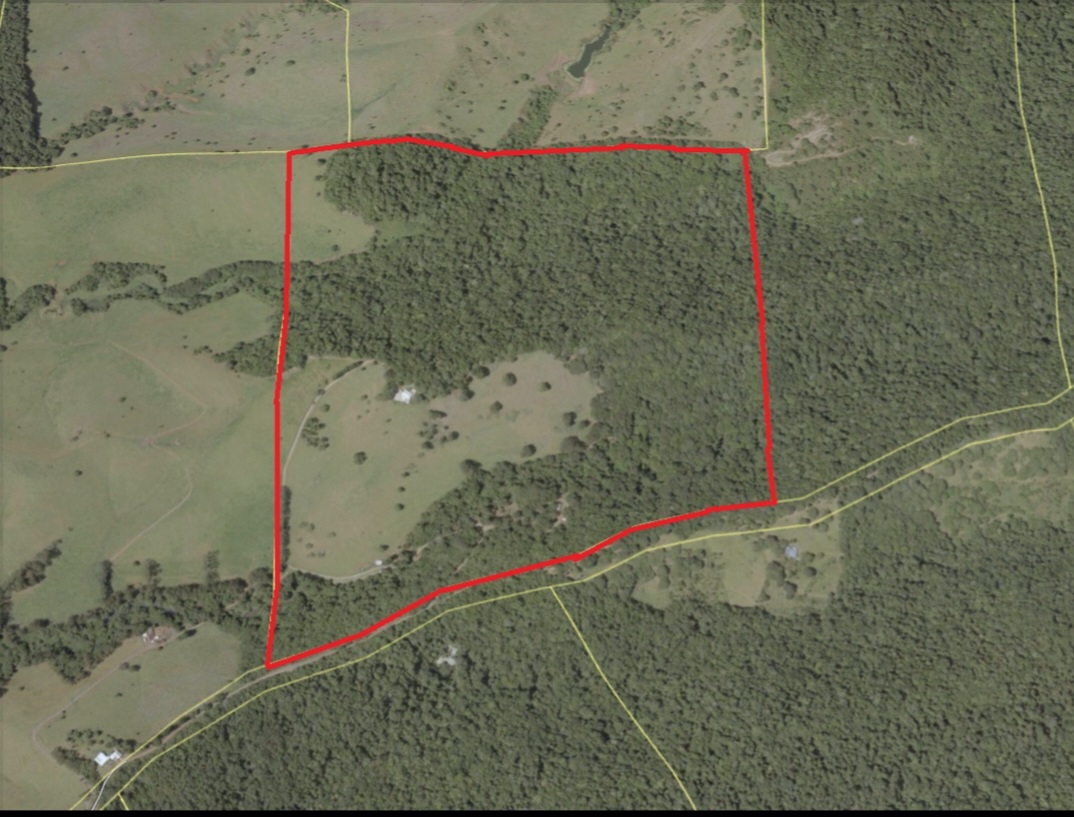 794 Seamark Road, Malanda