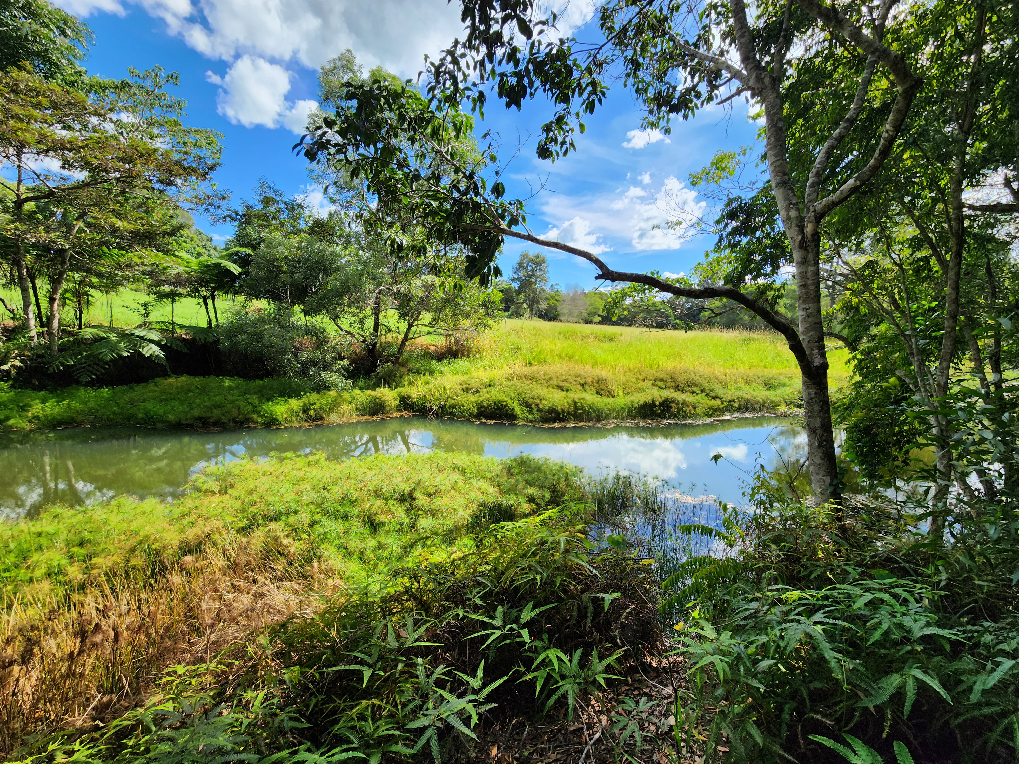 73 McLeish Road, Lake Eacham