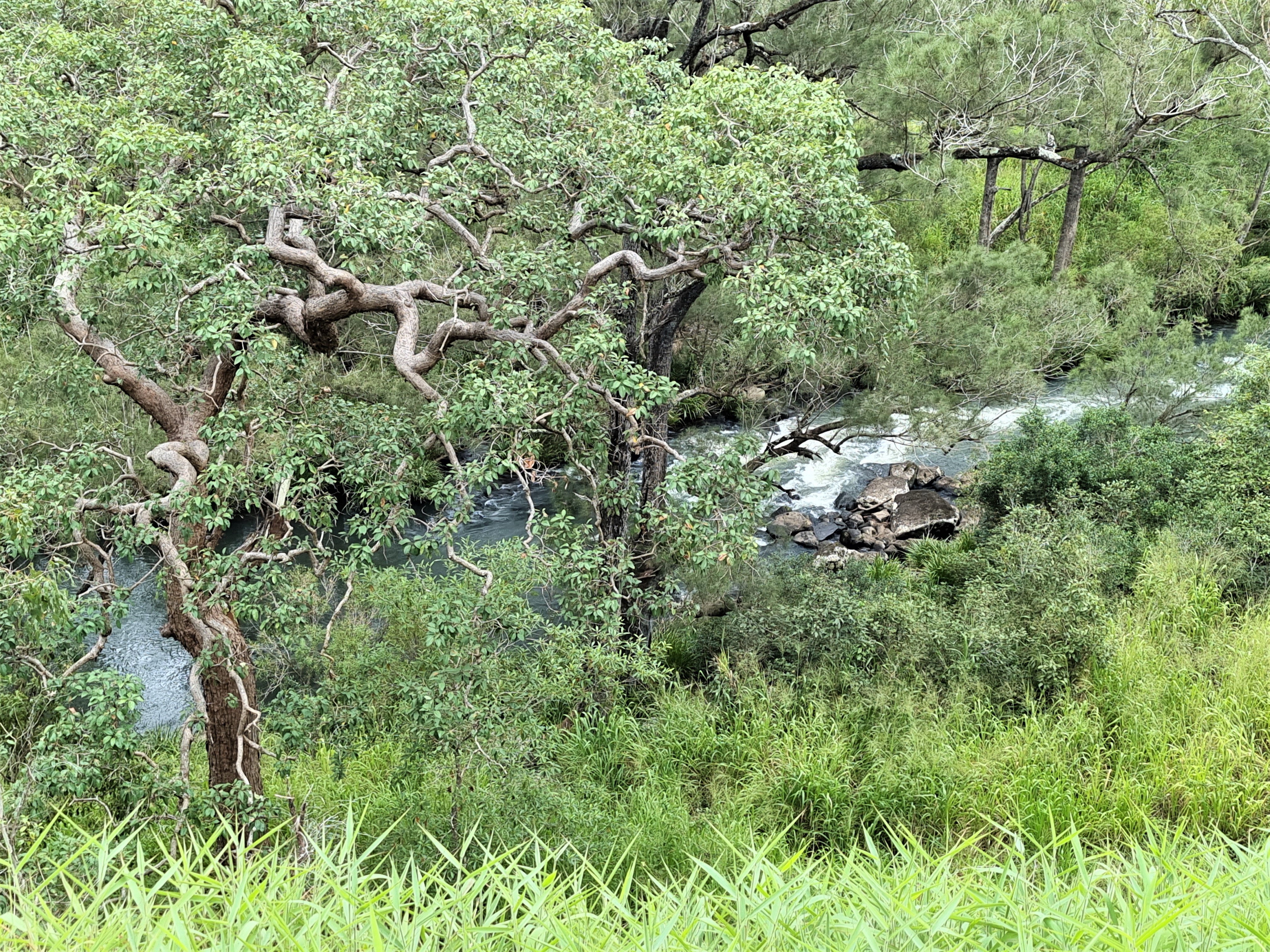 53 River Road, Millstream