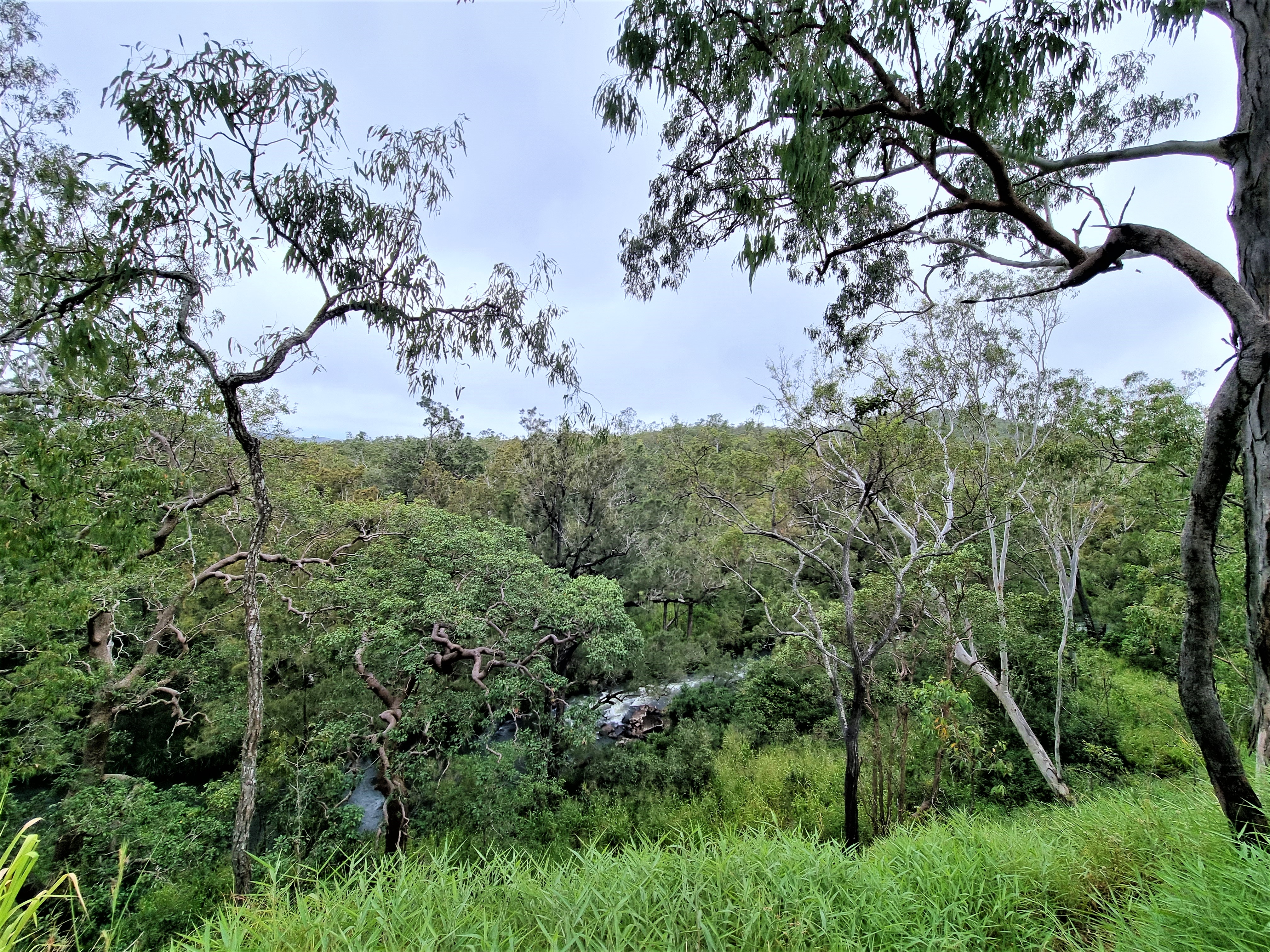 53 River Road, Millstream