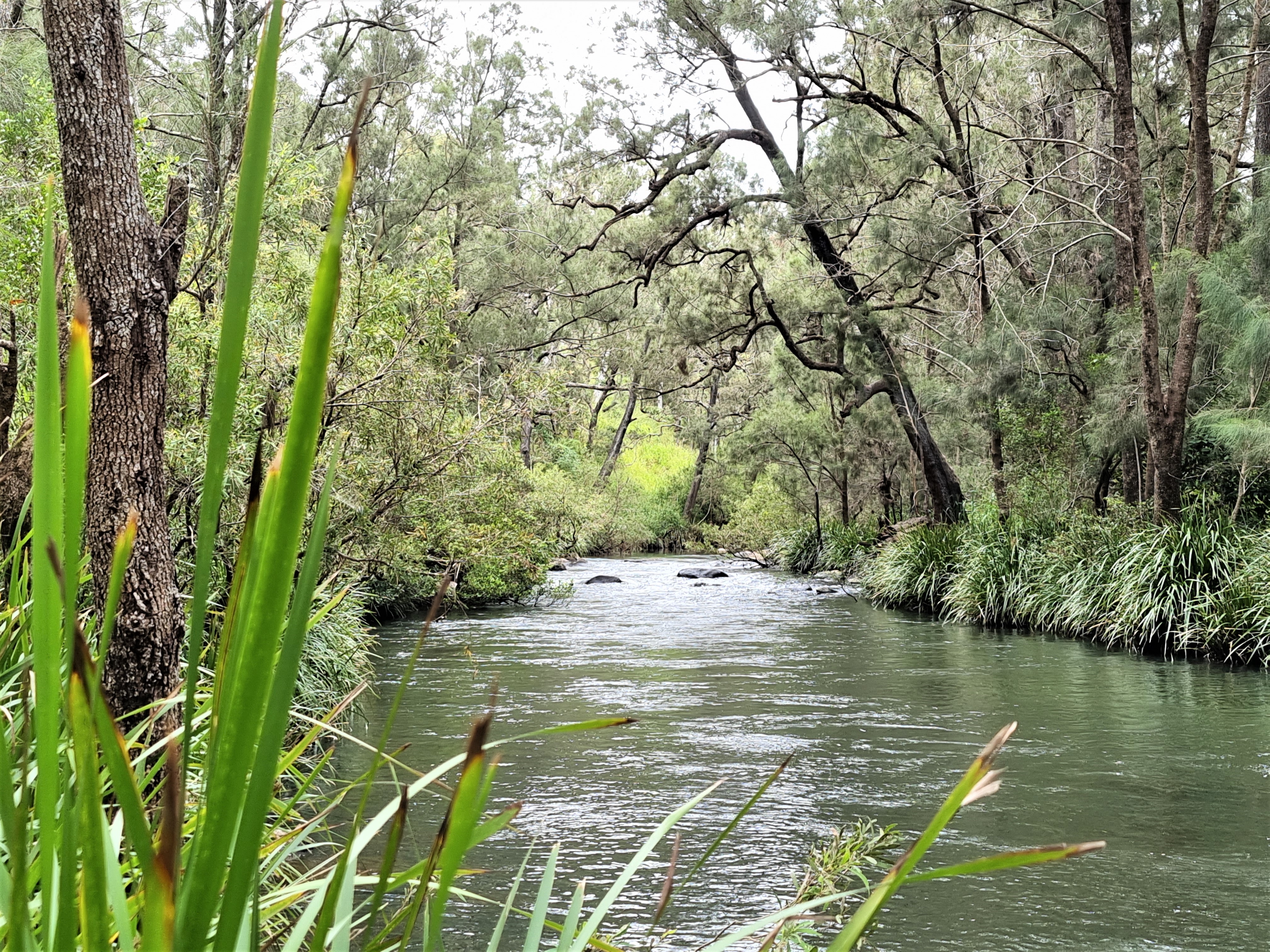 53 River Road, Millstream