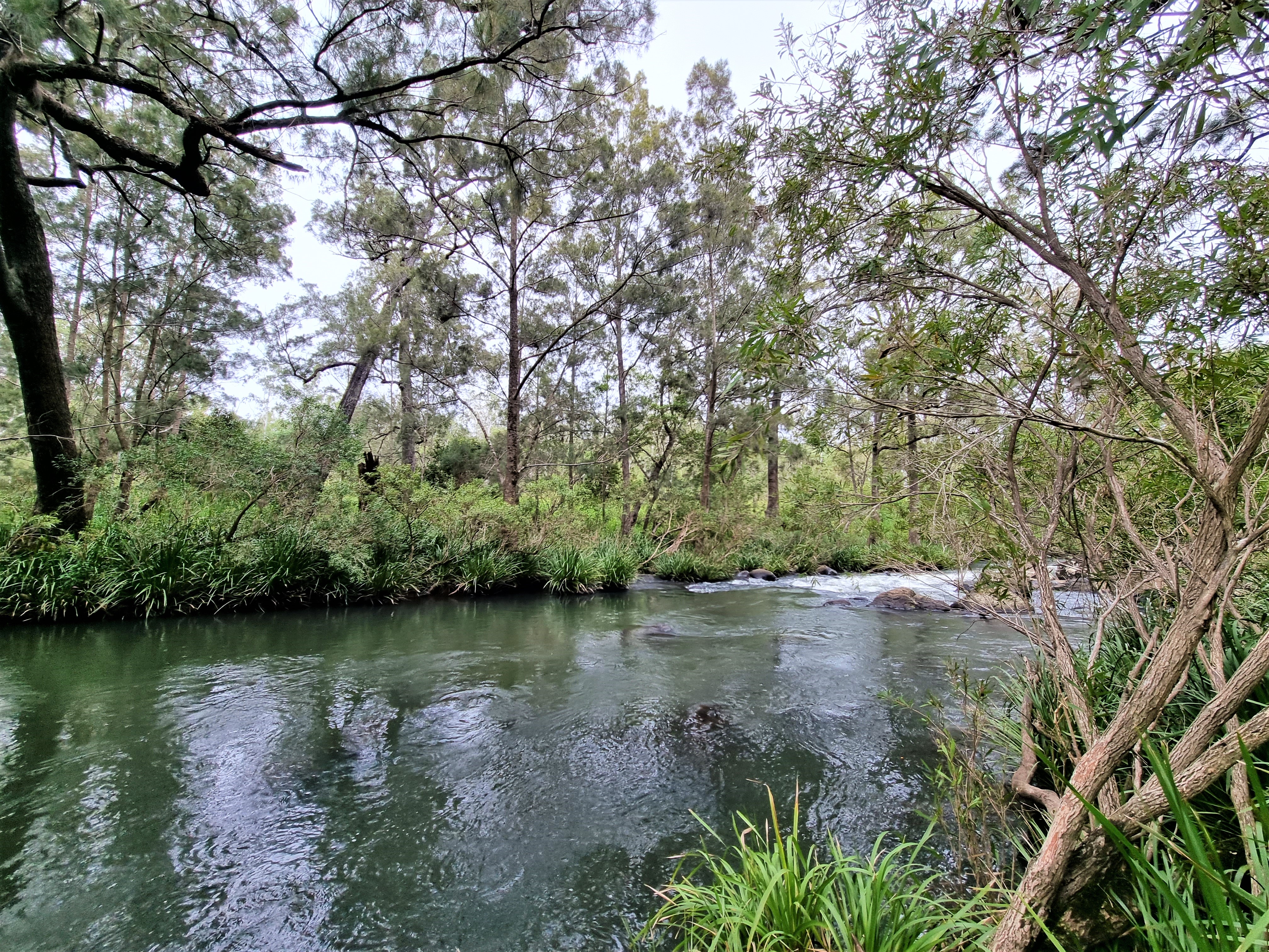 53 River Road, Millstream