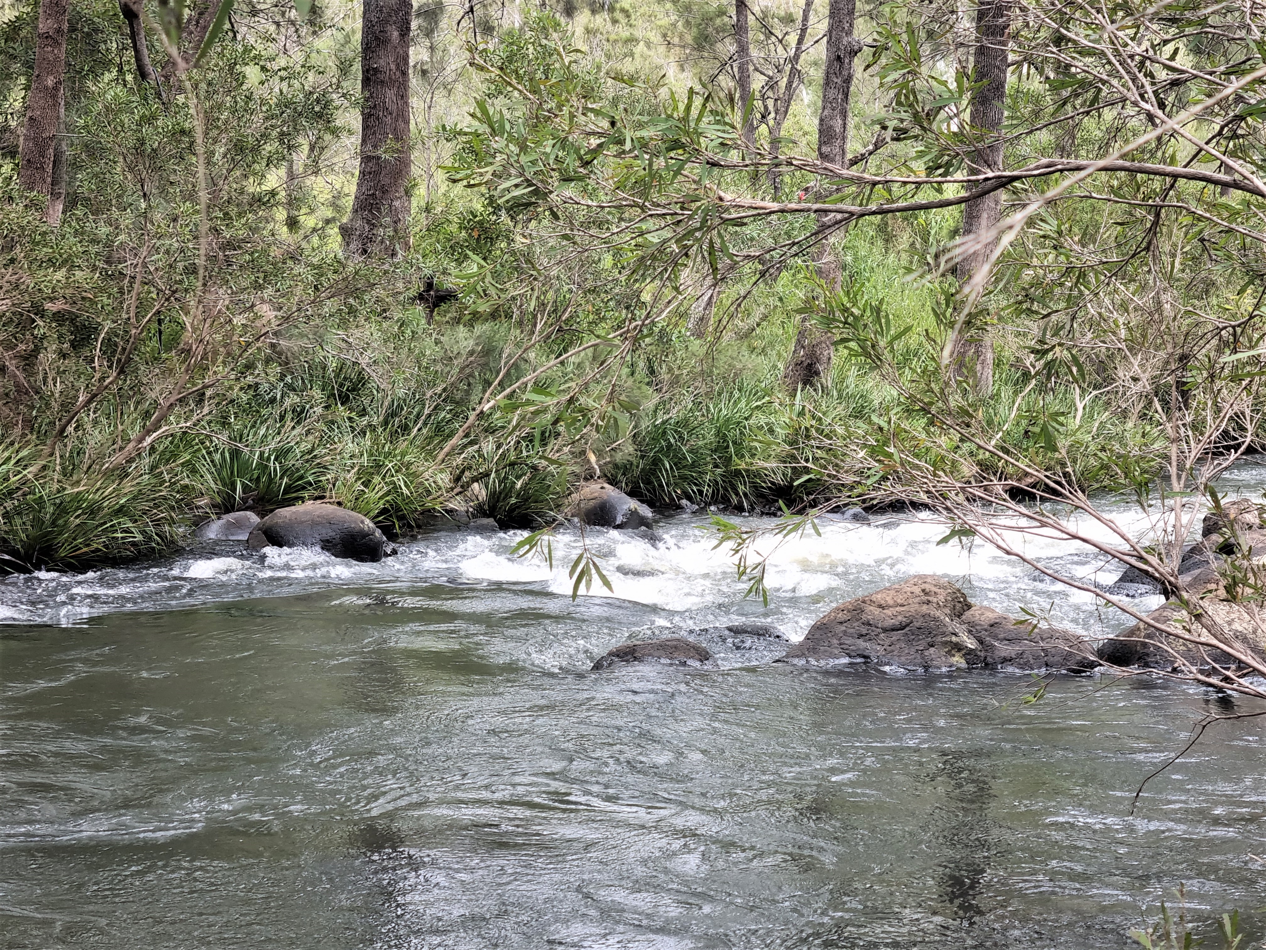 53 River Road, Millstream