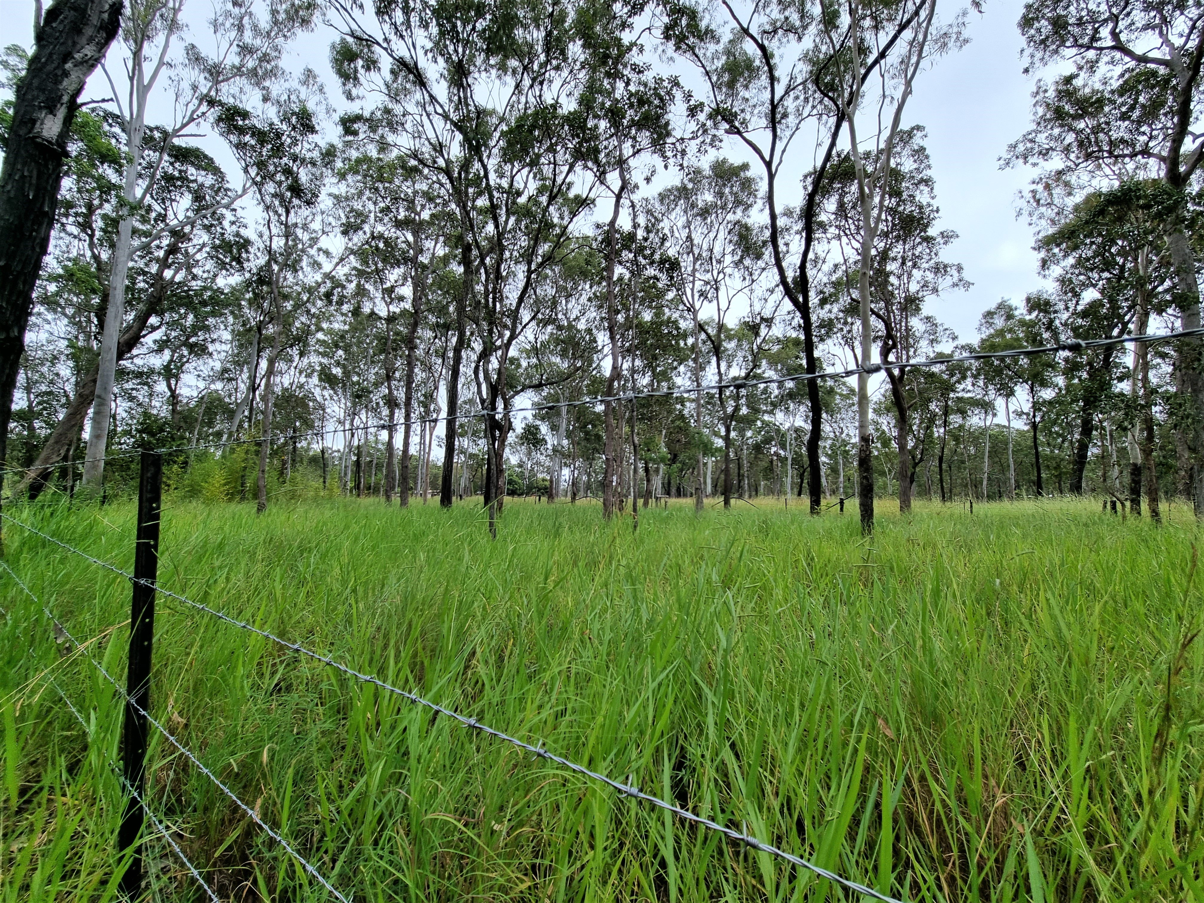 53 River Road, Millstream