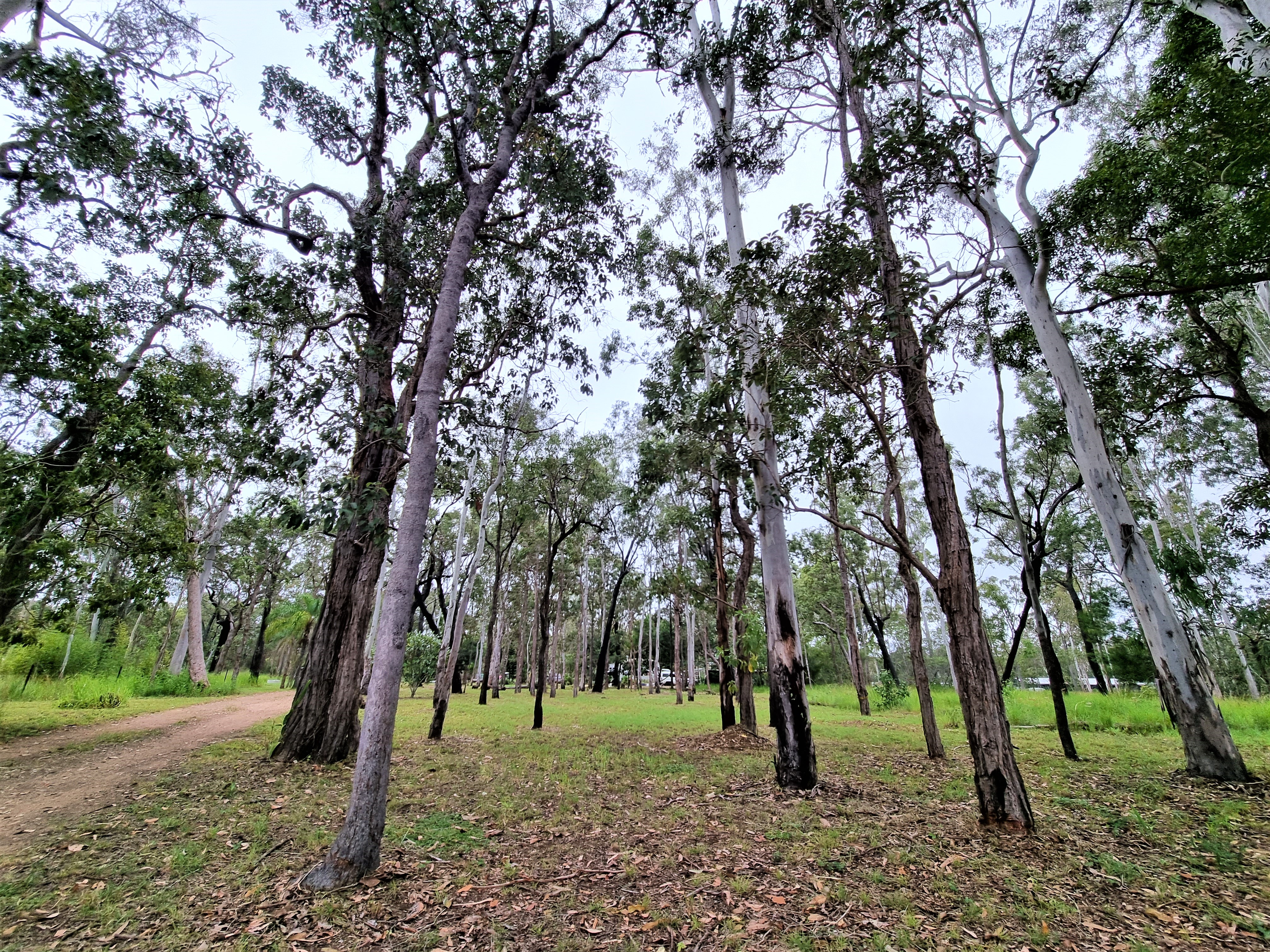 53 River Road, Millstream