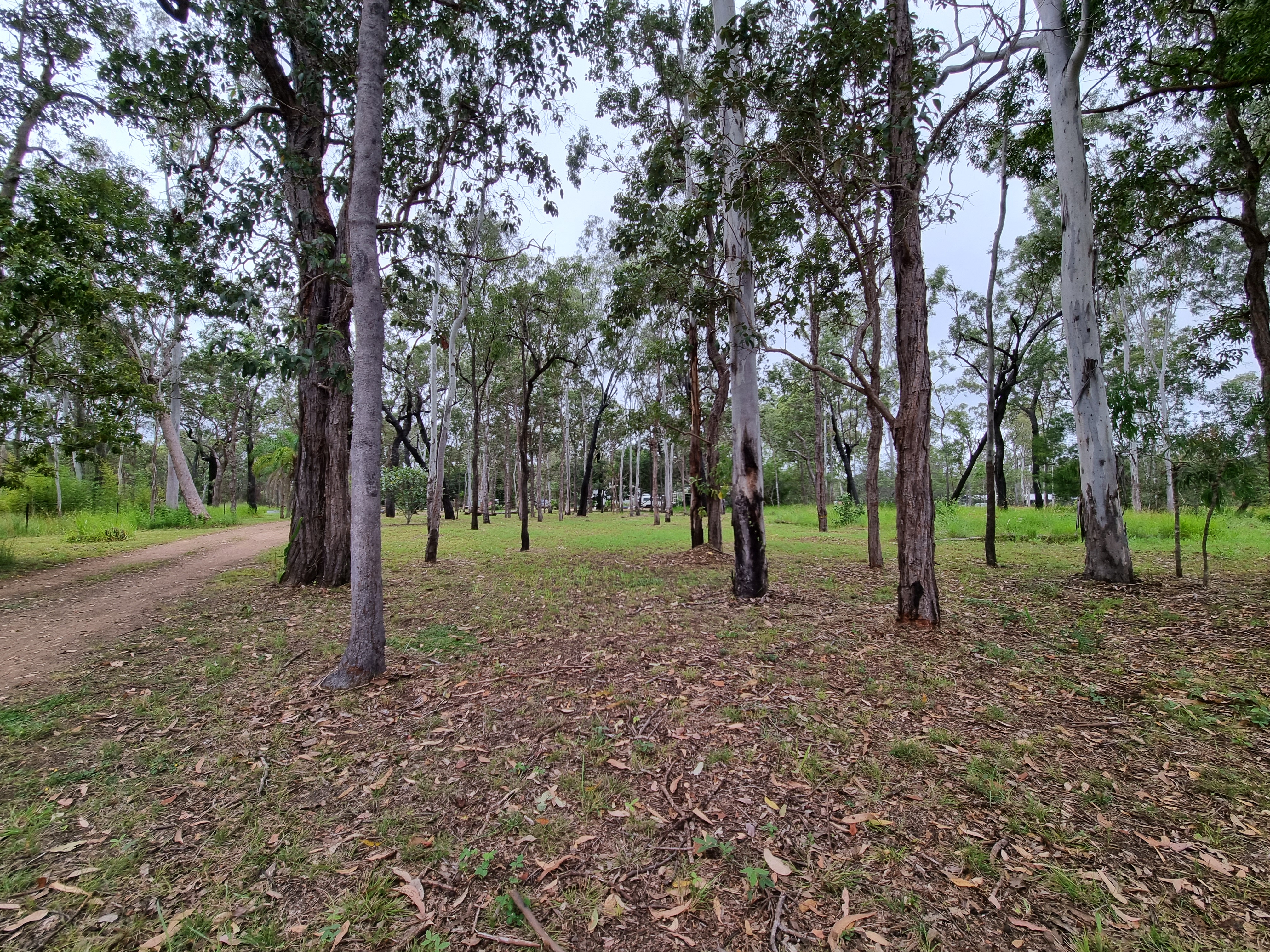 53 River Road, Millstream