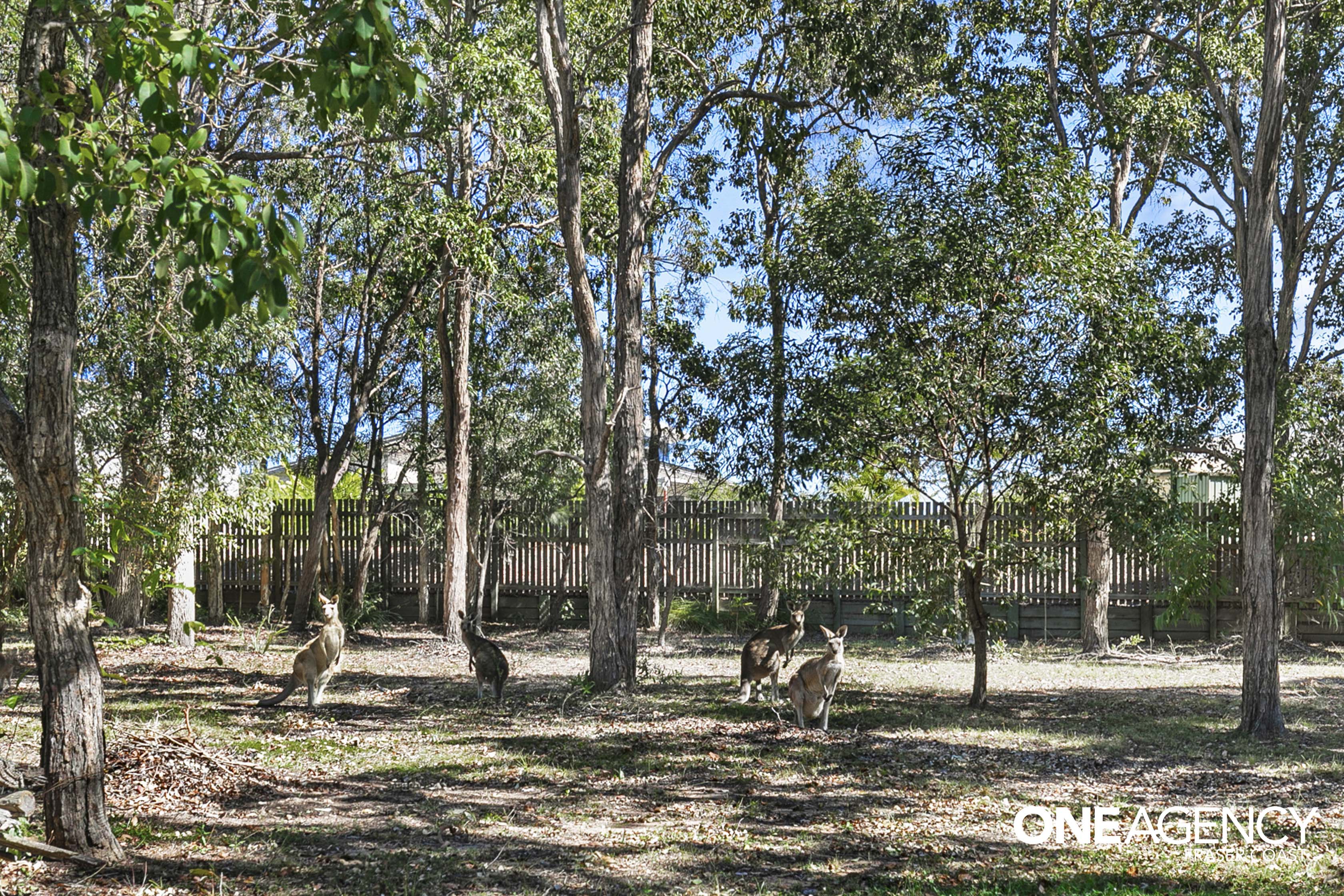 18 Senor Avenue, Urangan