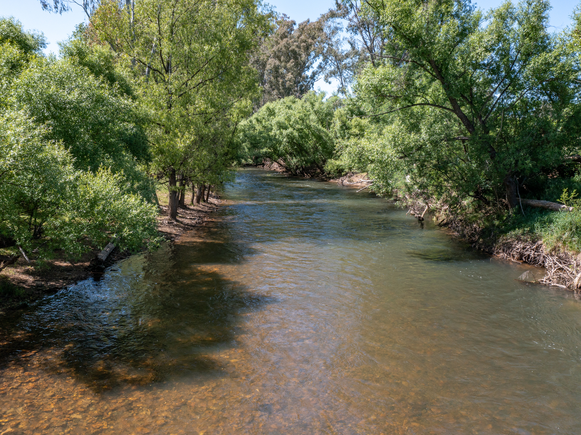 4255 Wangaratta-Whitfield Road, King Valley