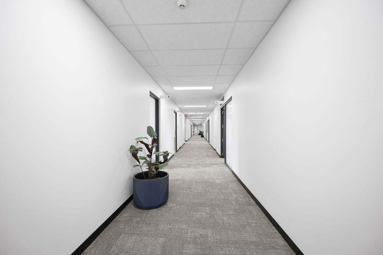 Tenancy 3 Level 2 / 11 High Street, Launceston