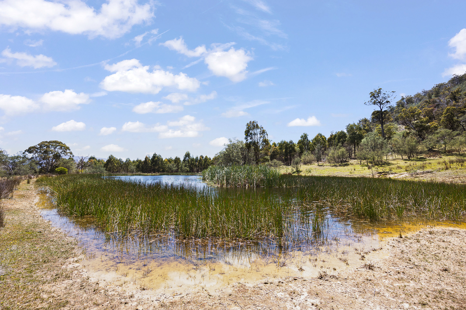 241 Williams Road, Royal George