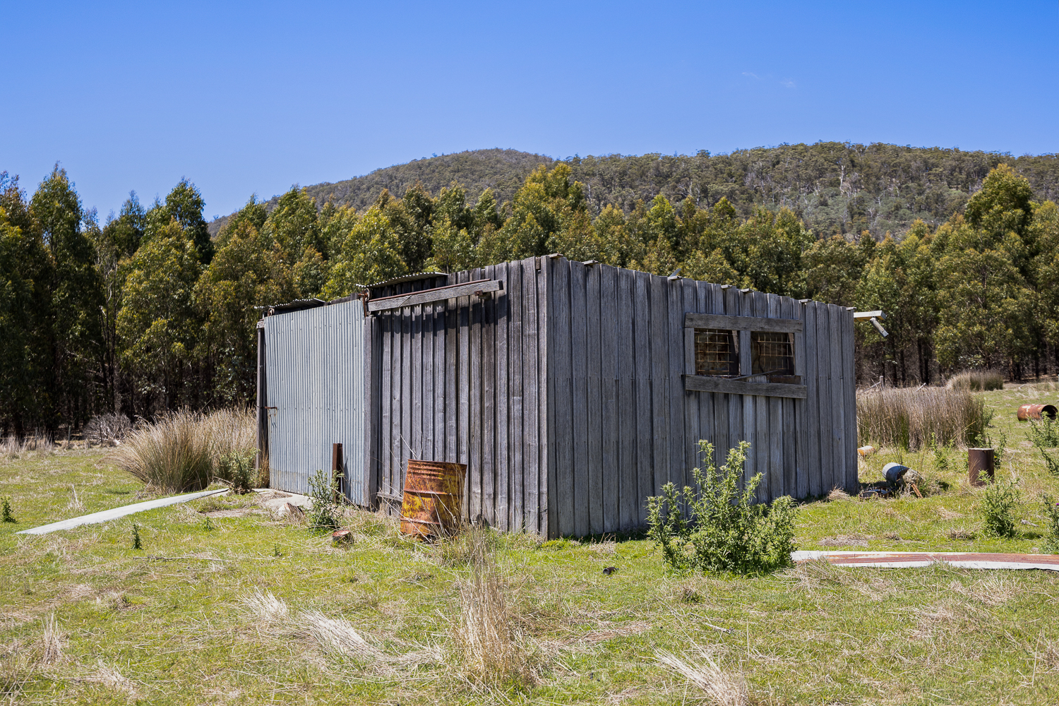 241 Williams Road, Royal George