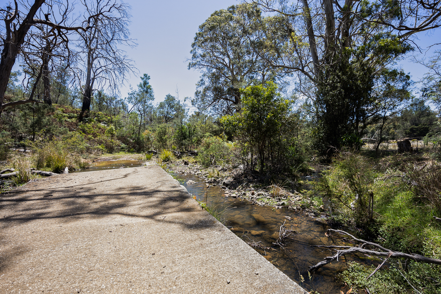 241 Williams Road, Royal George