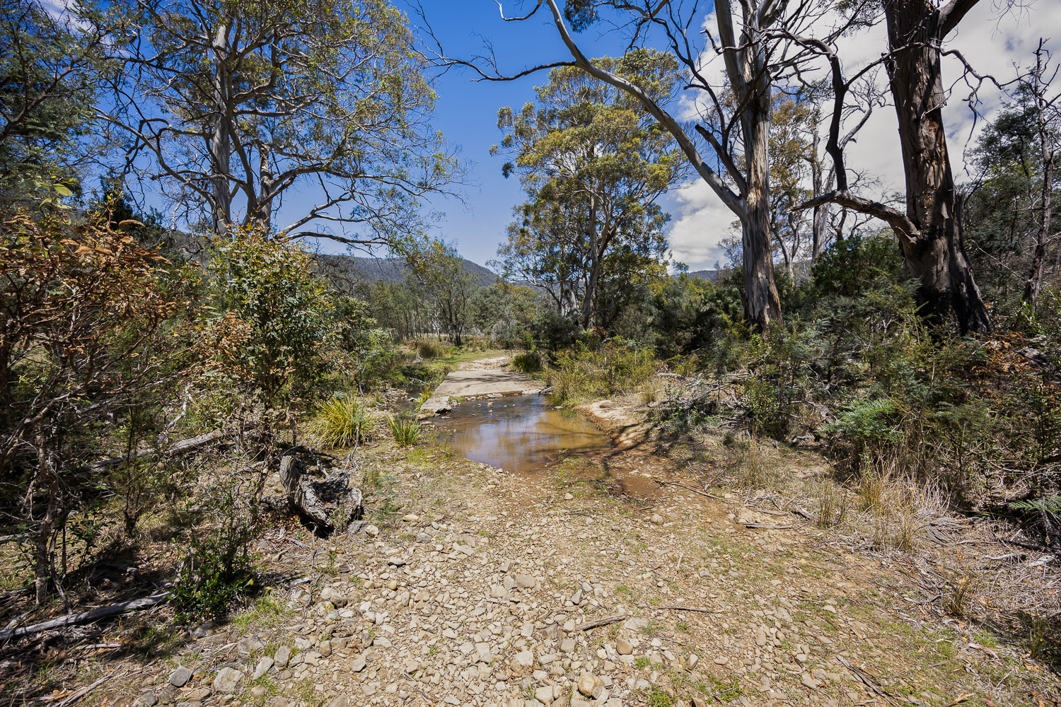 241 Williams Road, Royal George