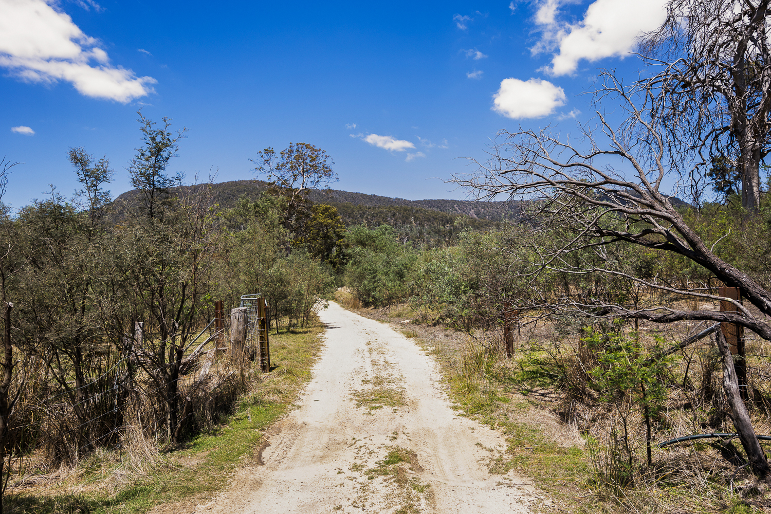 241 Williams Road, Royal George