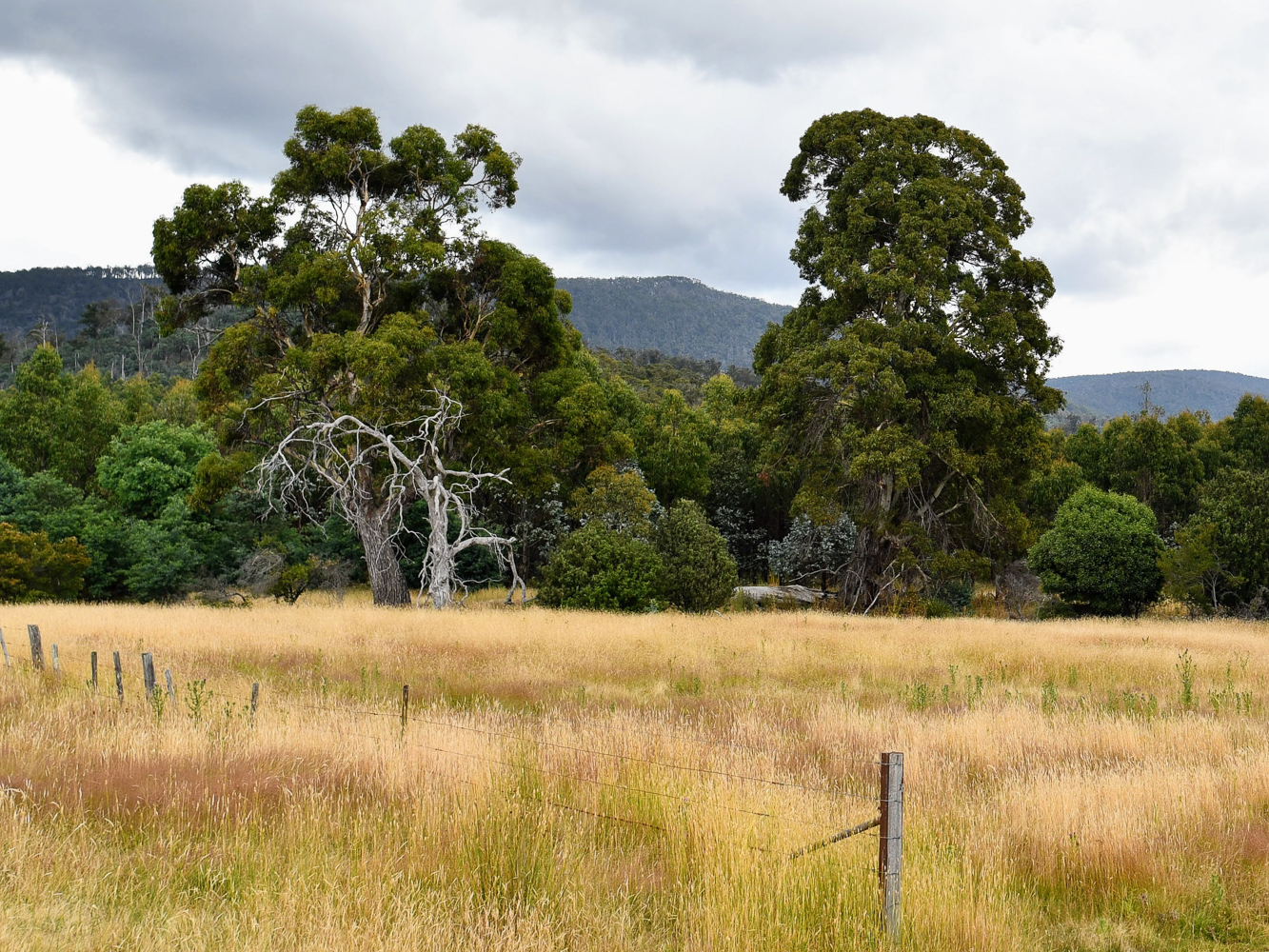 241 Williams Road, Royal George