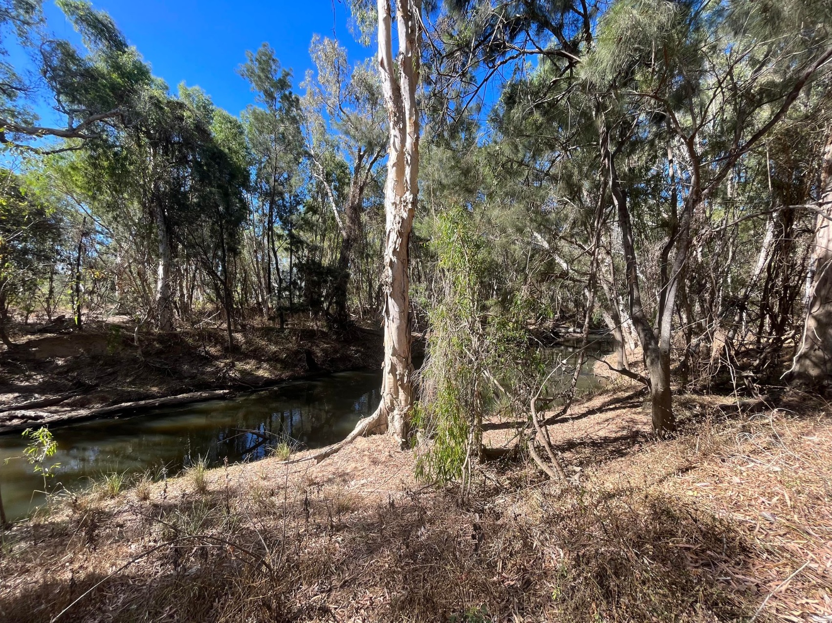 65 Raleigh Street, Dimbulah