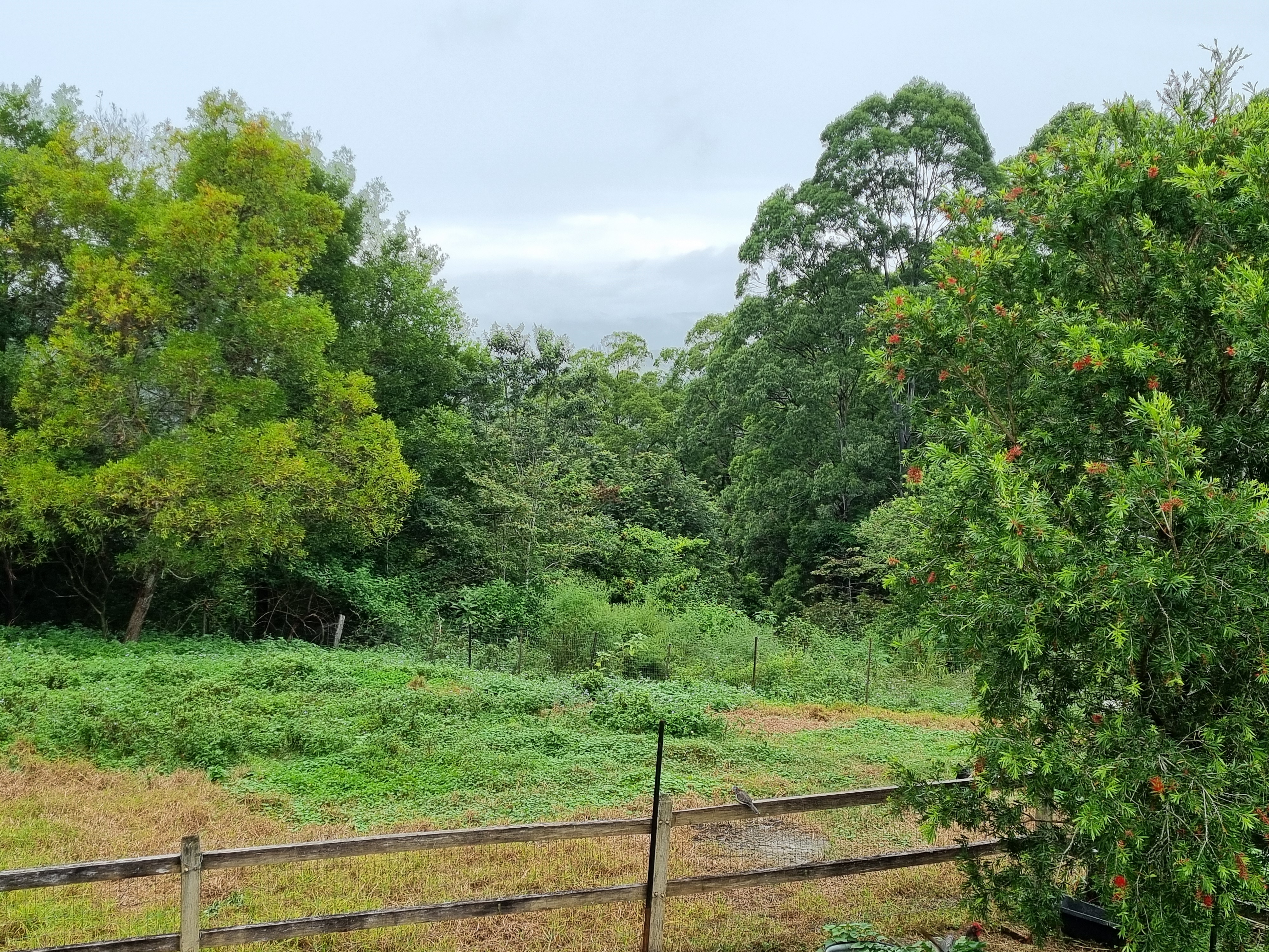 573 Blue Knob Road, Blue Knob