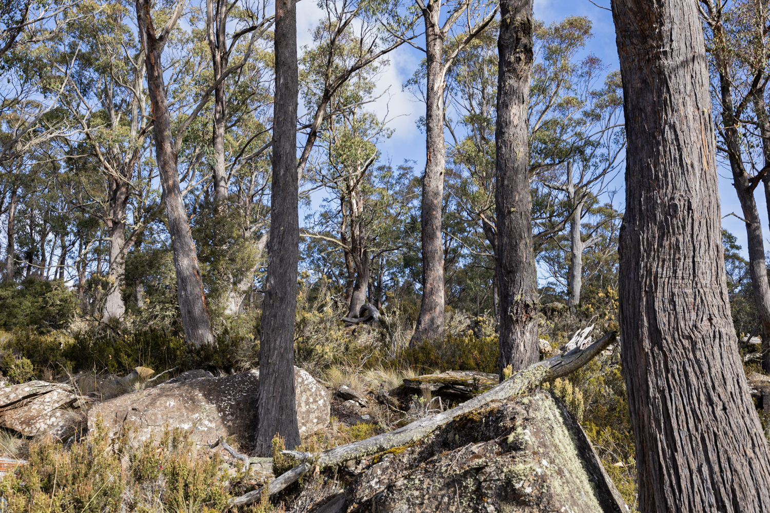 3 Johnsons Road, Miena