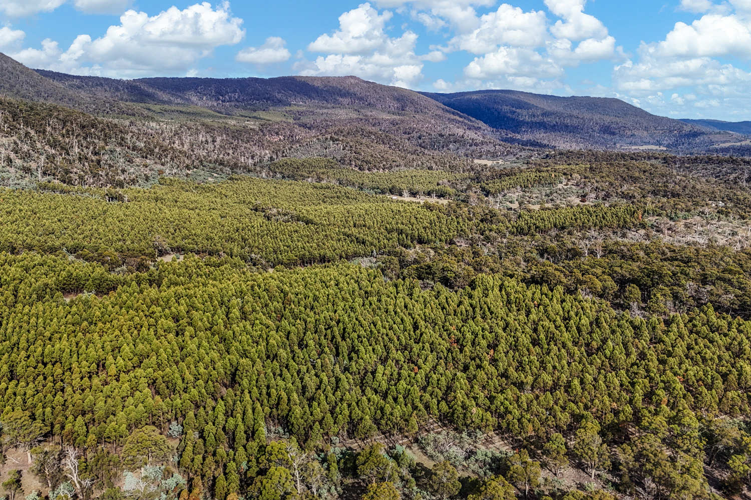 241 Williams Road, Royal George