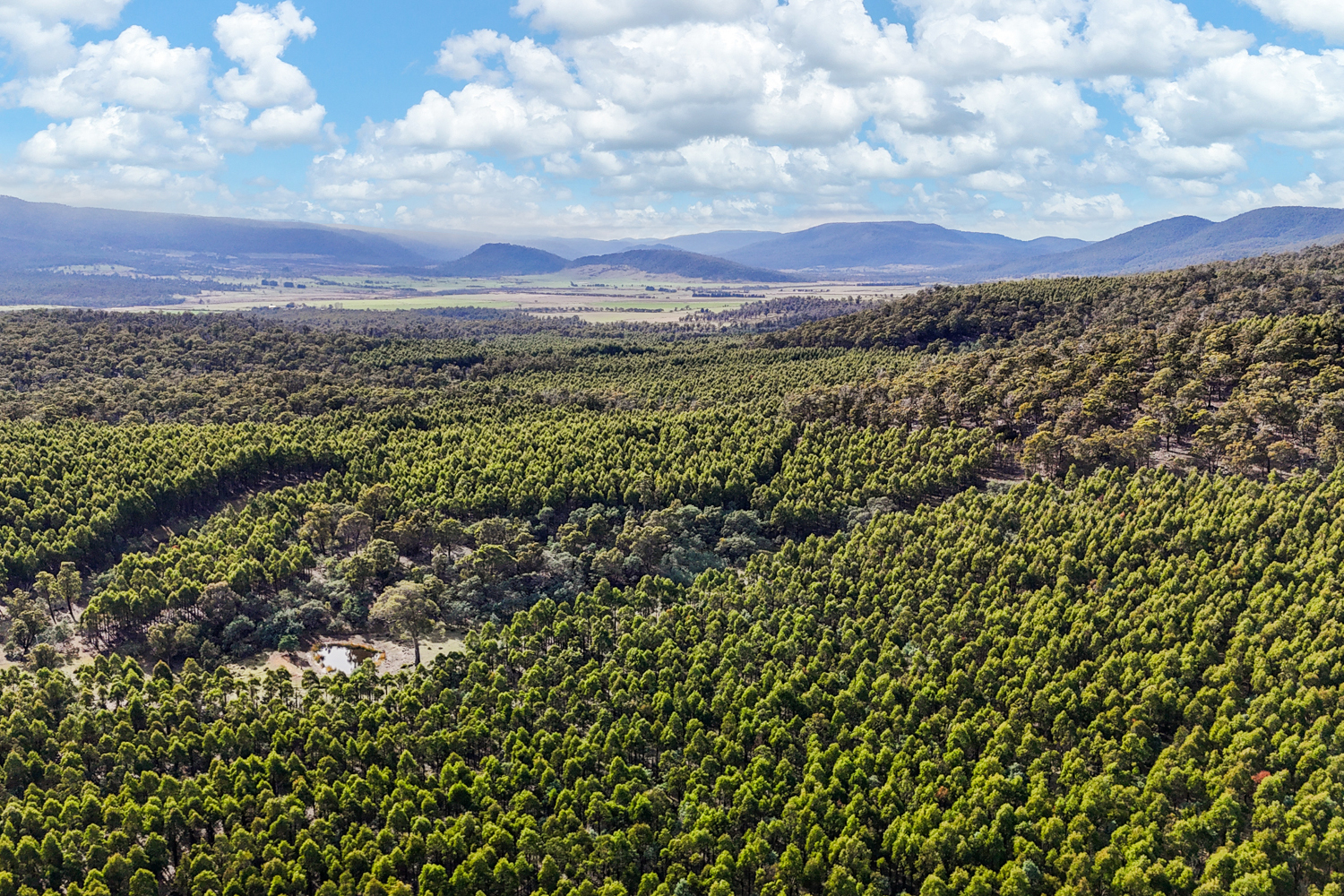 241 Williams Road, Royal George